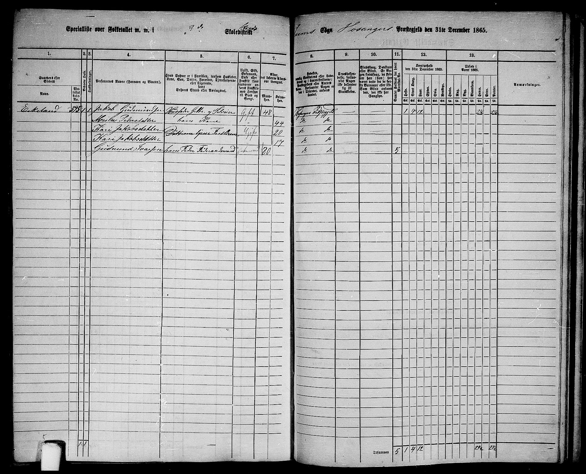 RA, 1865 census for Hosanger, 1865, p. 163