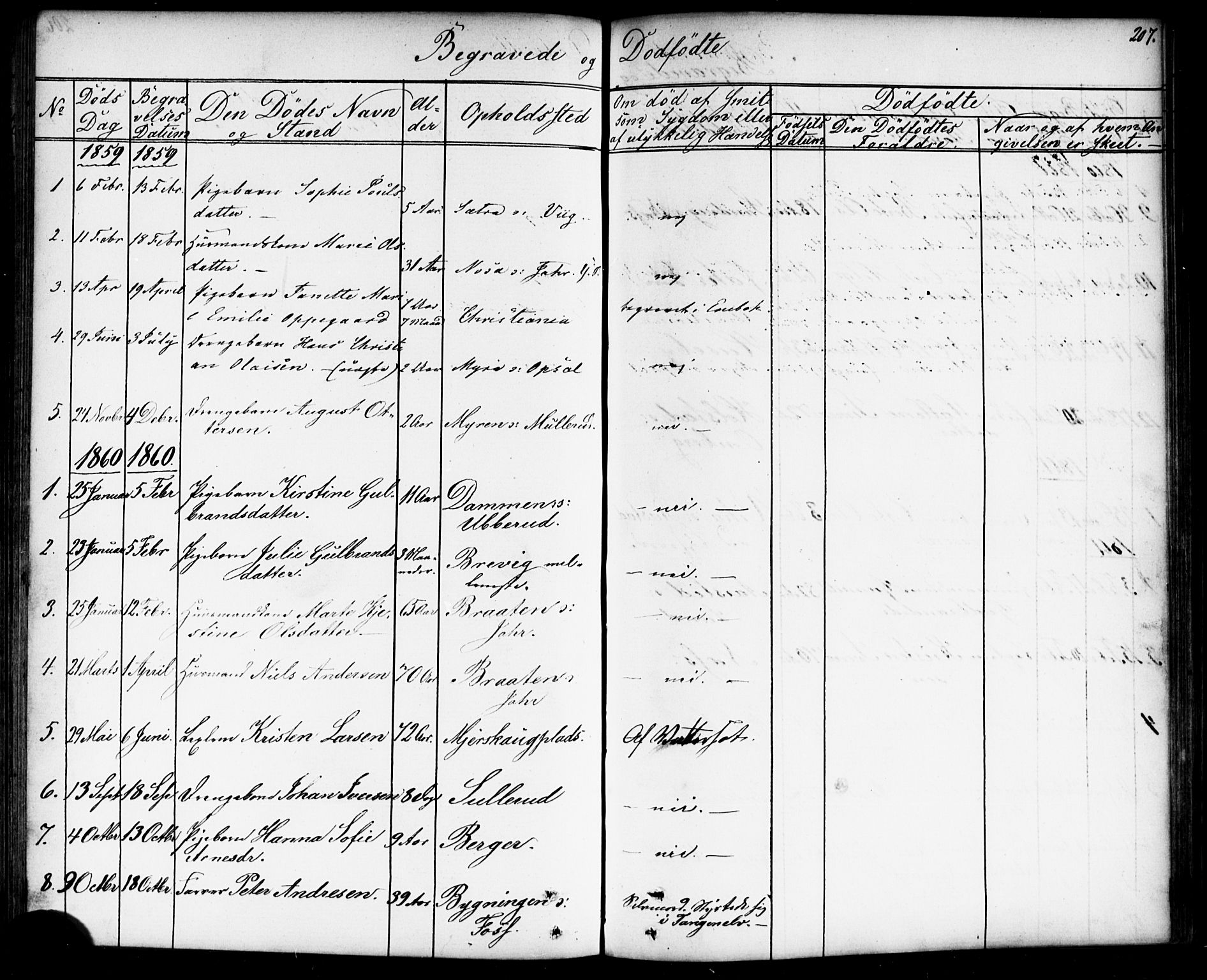 Enebakk prestekontor Kirkebøker, SAO/A-10171c/G/Gb/L0001: Parish register (copy) no. II 1, 1859-1890, p. 207