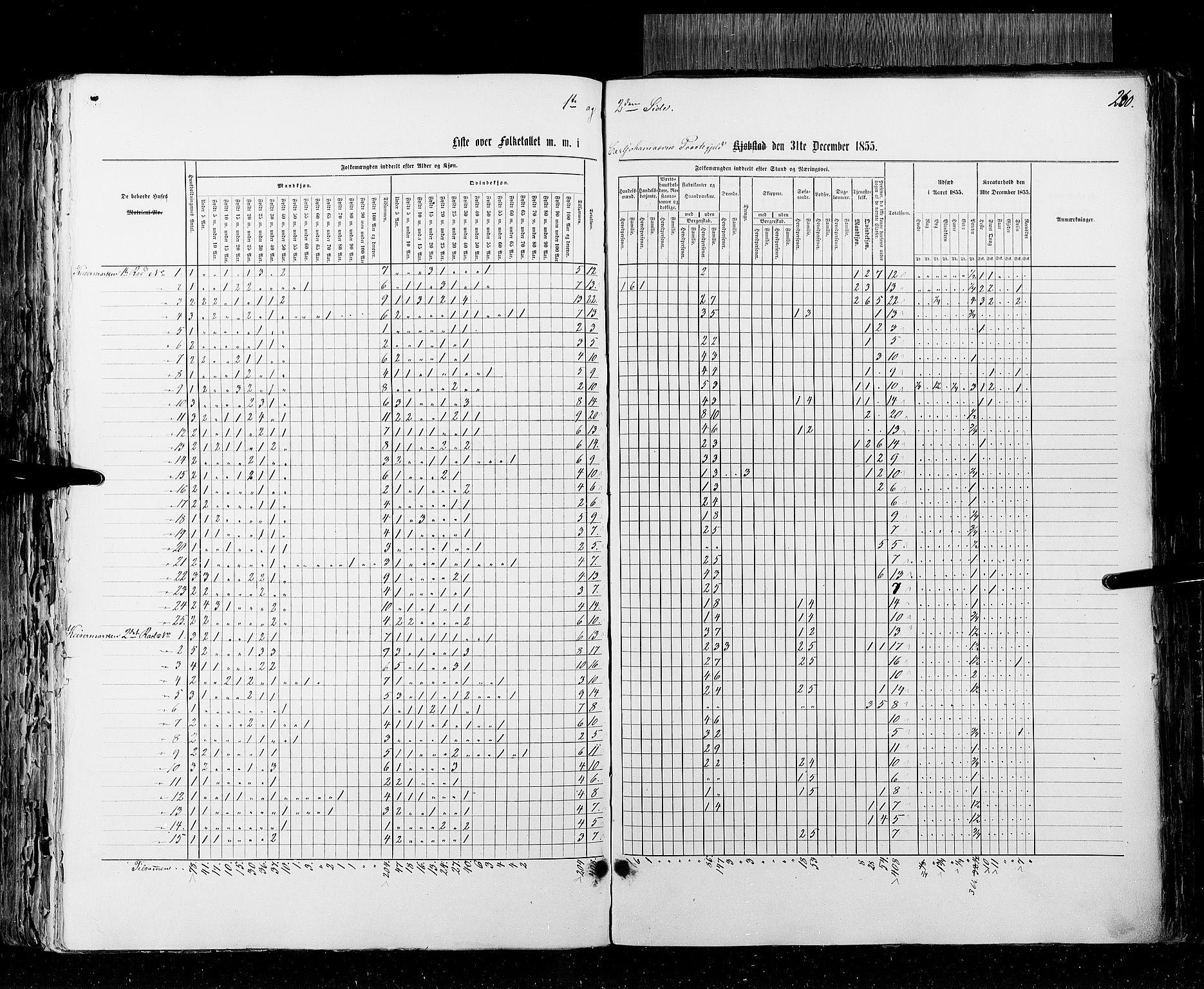 RA, Census 1855, vol. 2: Kristians amt, Buskerud amt og Jarlsberg og Larvik amt, 1855, p. 260