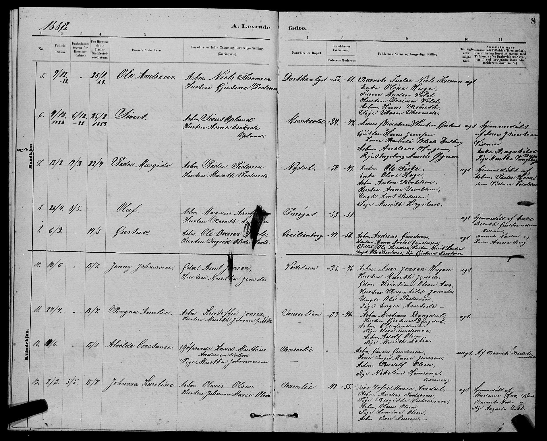 Ministerialprotokoller, klokkerbøker og fødselsregistre - Sør-Trøndelag, AV/SAT-A-1456/611/L0354: Parish register (copy) no. 611C02, 1881-1896, p. 8