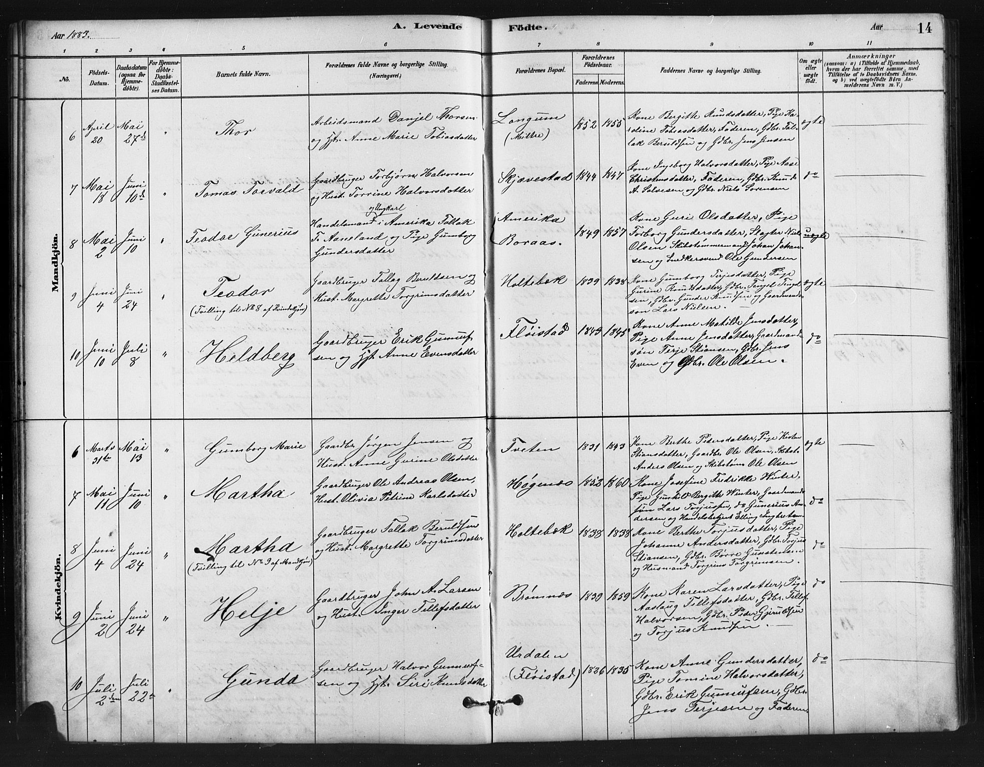 Austre Moland sokneprestkontor, AV/SAK-1111-0001/F/Fb/Fba/L0003: Parish register (copy) no. B 3, 1879-1914, p. 14