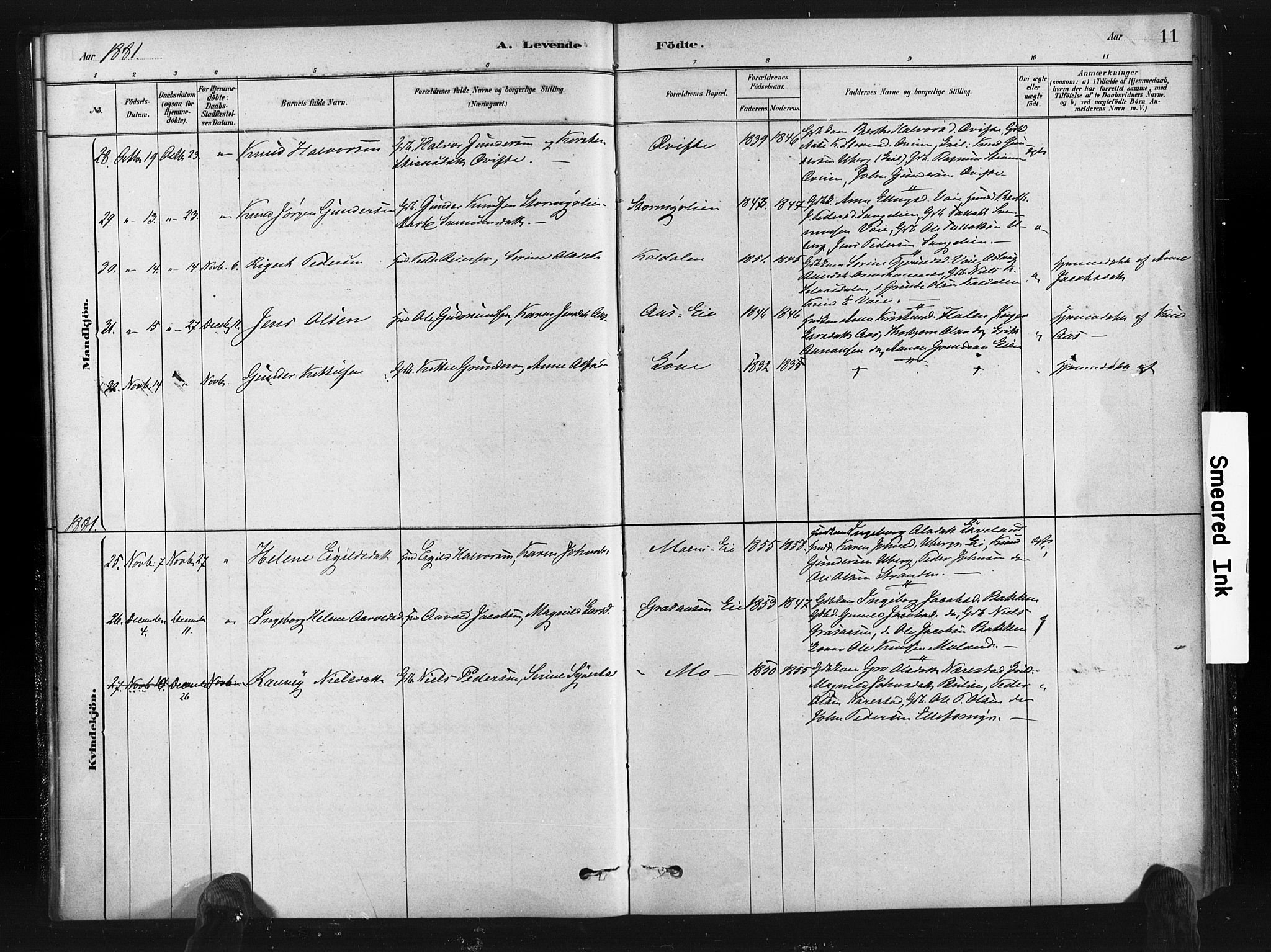 Gjerstad sokneprestkontor, SAK/1111-0014/F/Fa/Fab/L0004: Parish register (official) no. A 4, 1879-1890, p. 11