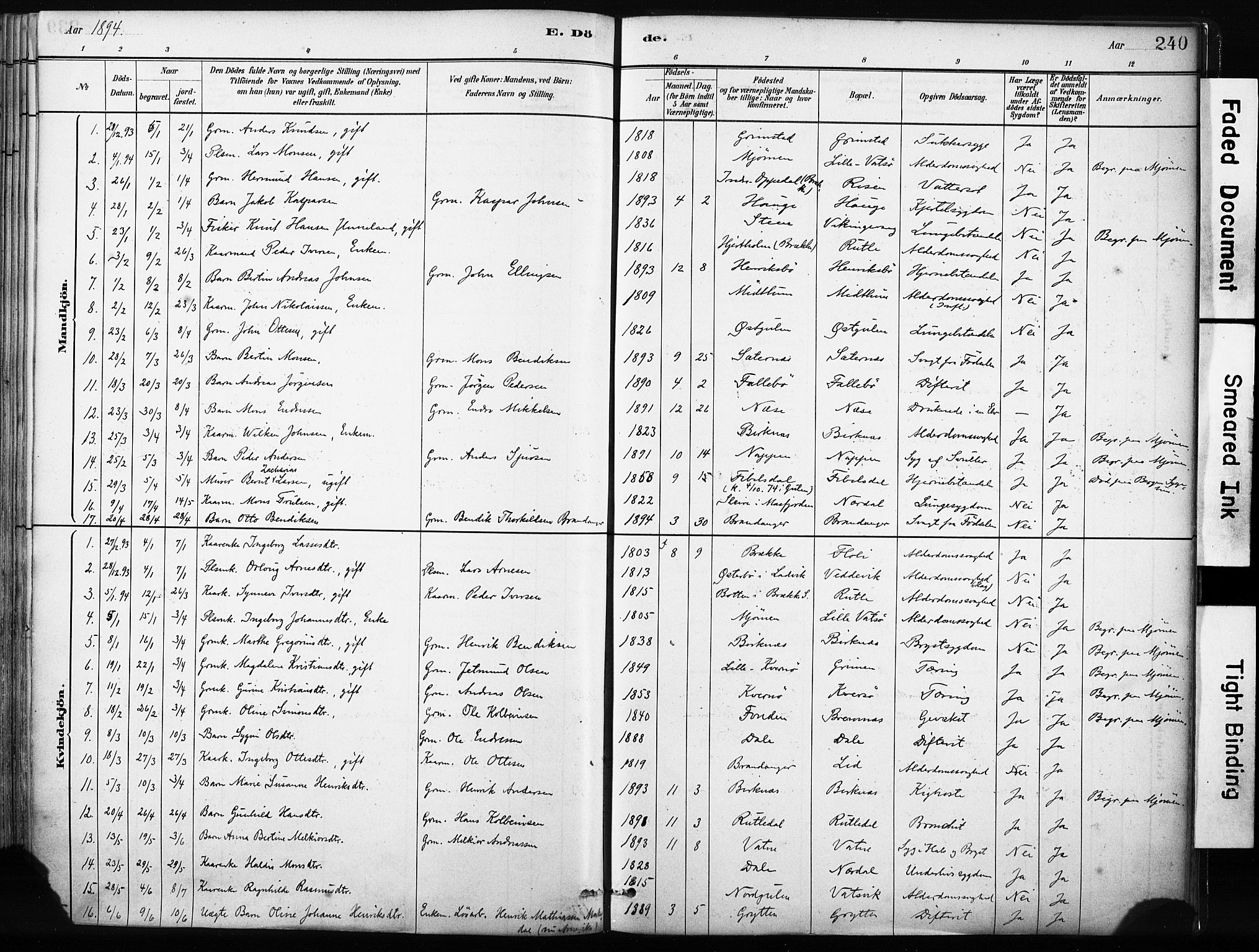 Gulen sokneprestembete, SAB/A-80201/H/Haa/Haab/L0001: Parish register (official) no. B 1, 1881-1905, p. 240