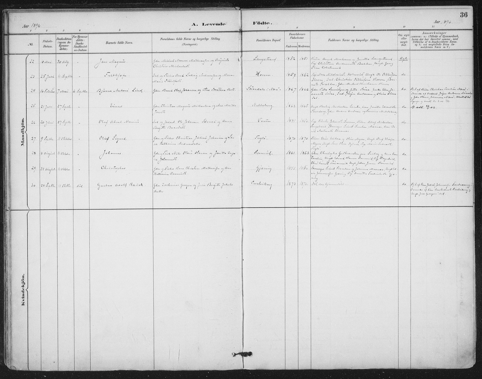 Ministerialprotokoller, klokkerbøker og fødselsregistre - Nord-Trøndelag, SAT/A-1458/780/L0644: Parish register (official) no. 780A08, 1886-1903, p. 36