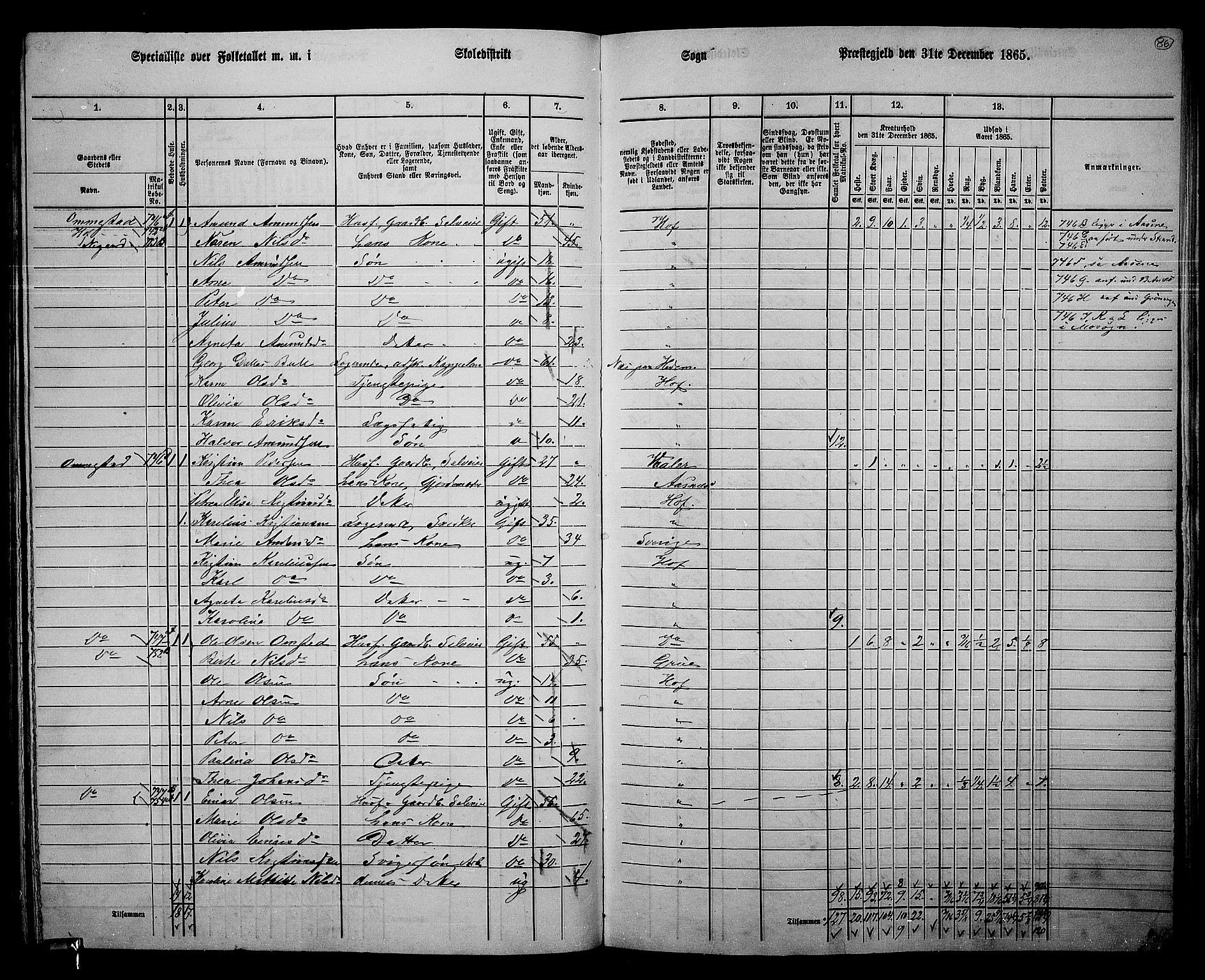 RA, 1865 census for Hof, 1865, p. 82