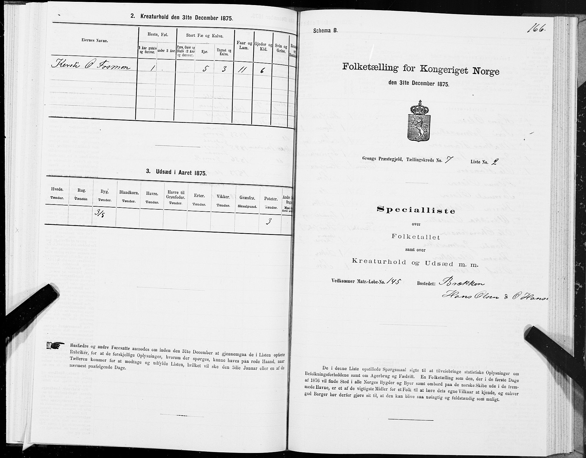 SAT, 1875 census for 1742P Grong, 1875, p. 4166