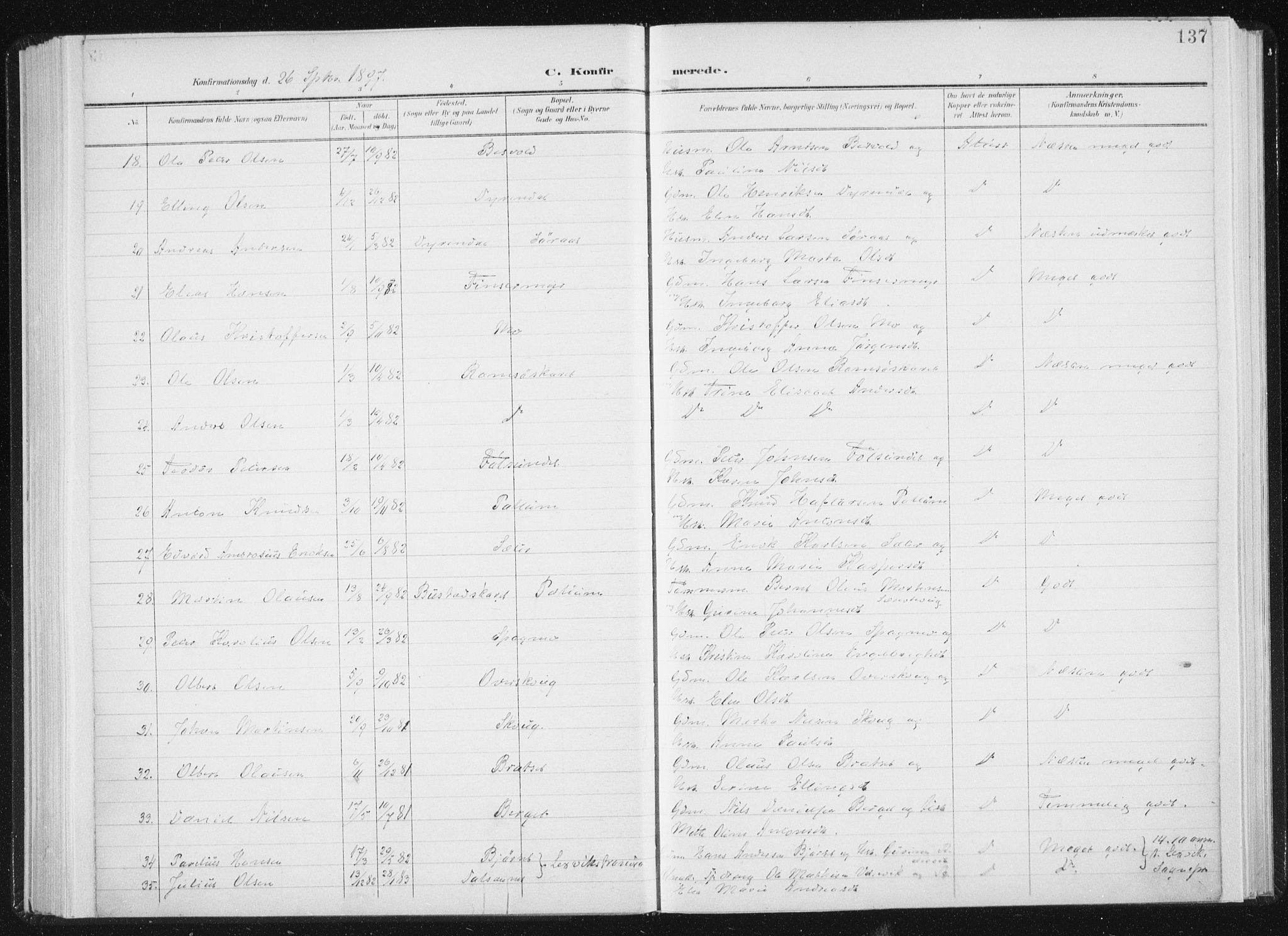 Ministerialprotokoller, klokkerbøker og fødselsregistre - Sør-Trøndelag, AV/SAT-A-1456/647/L0635: Parish register (official) no. 647A02, 1896-1911, p. 137