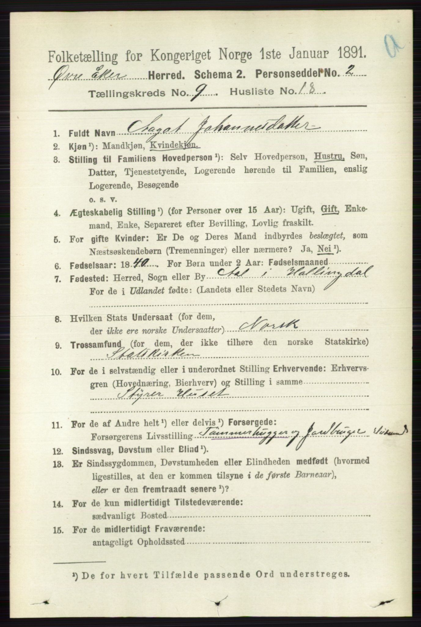 RA, 1891 census for 0624 Øvre Eiker, 1891, p. 3737