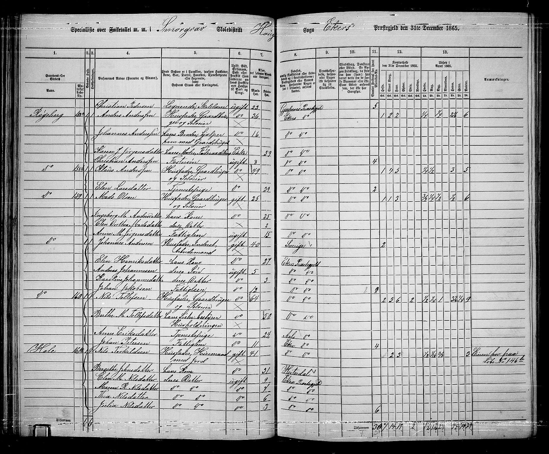 RA, 1865 census for Eiker, 1865, p. 50