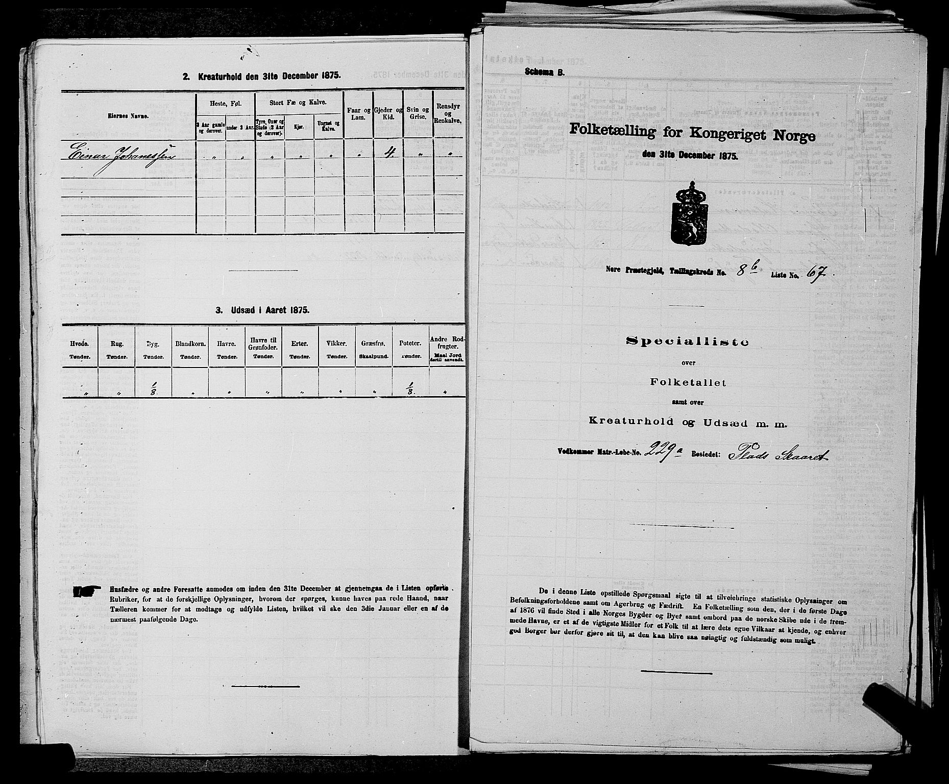 SAKO, 1875 census for 0633P Nore, 1875, p. 1003