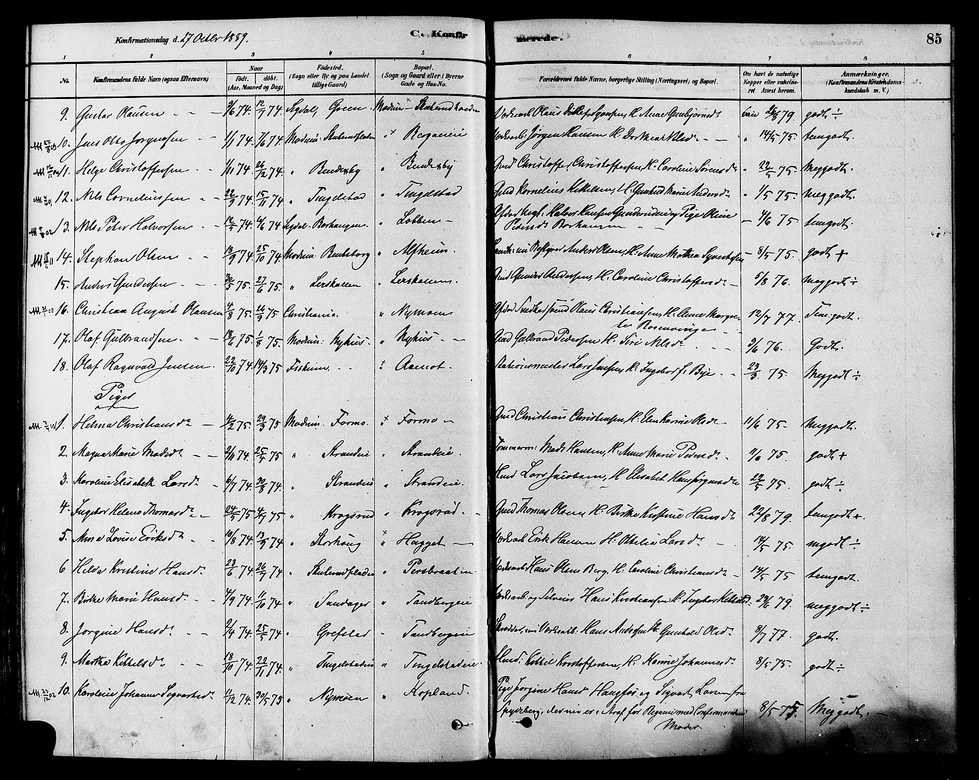 Modum kirkebøker, AV/SAKO-A-234/F/Fa/L0015: Parish register (official) no. 15 /1, 1877-1889, p. 85