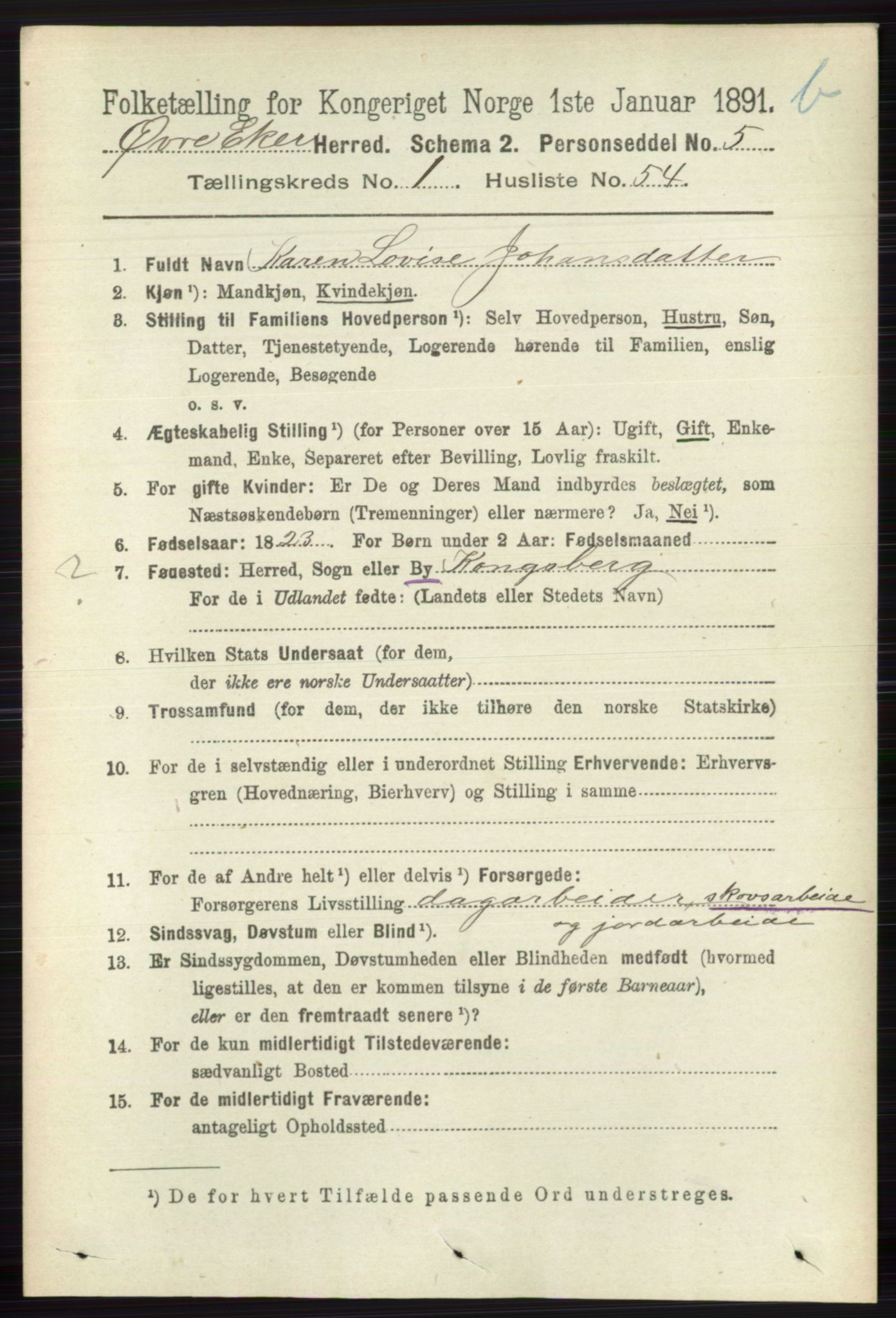 RA, 1891 census for 0624 Øvre Eiker, 1891, p. 8132