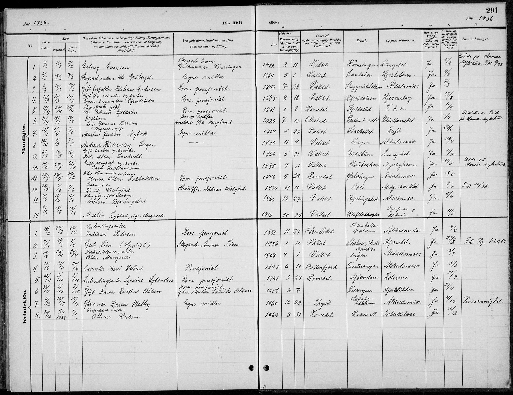 Romedal prestekontor, AV/SAH-PREST-004/L/L0013: Parish register (copy) no. 13, 1896-1937, p. 291