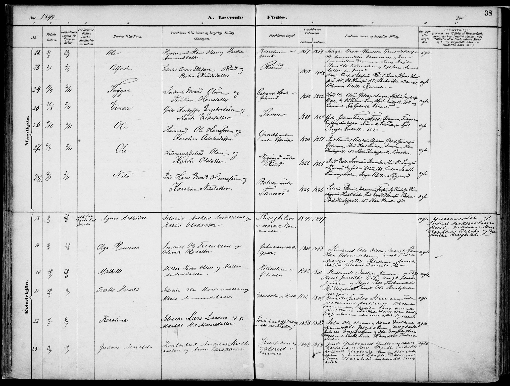 Nord-Odal prestekontor, AV/SAH-PREST-032/H/Ha/Haa/L0008: Parish register (official) no. 8, 1886-1901, p. 38