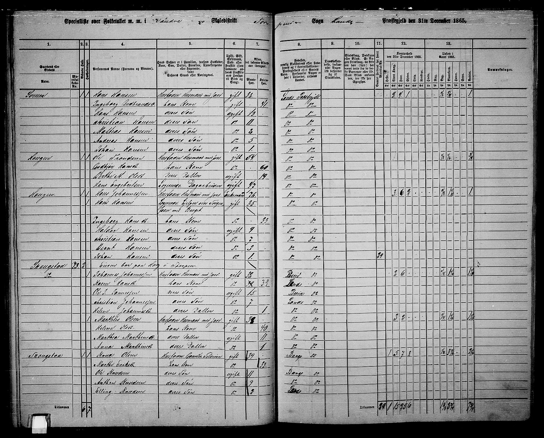 RA, 1865 census for Land, 1865, p. 77