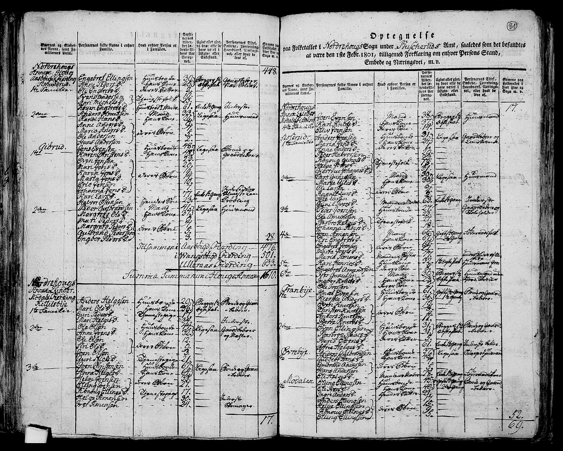 RA, 1801 census for 0613P Norderhov, 1801, p. 80b-81a