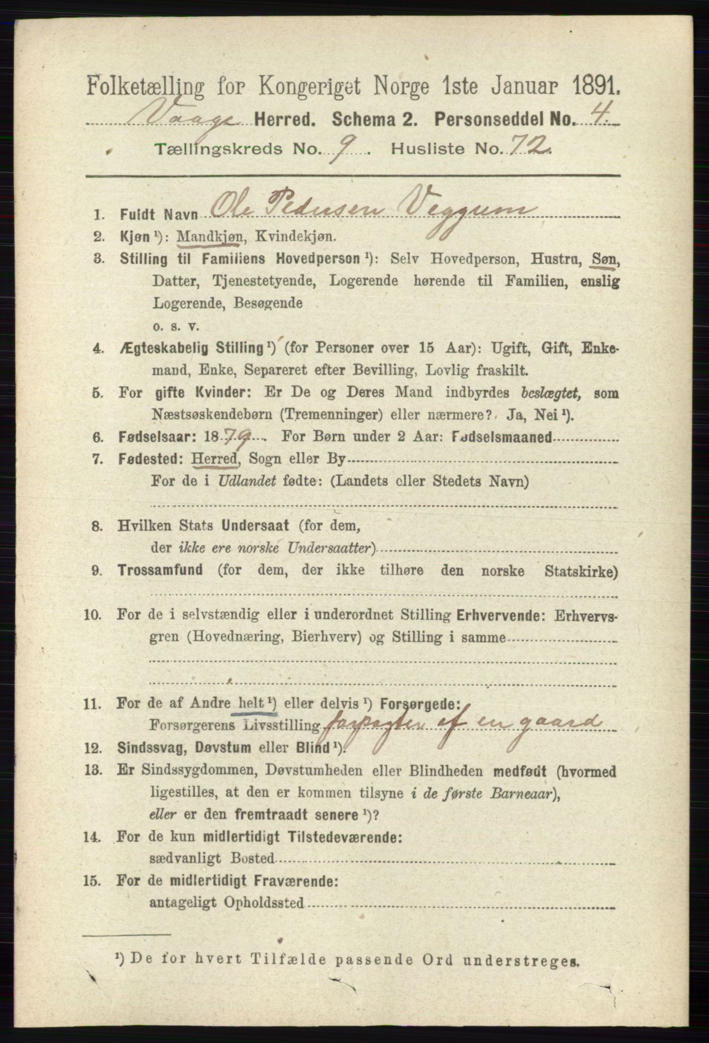 RA, 1891 census for 0515 Vågå, 1891, p. 5969