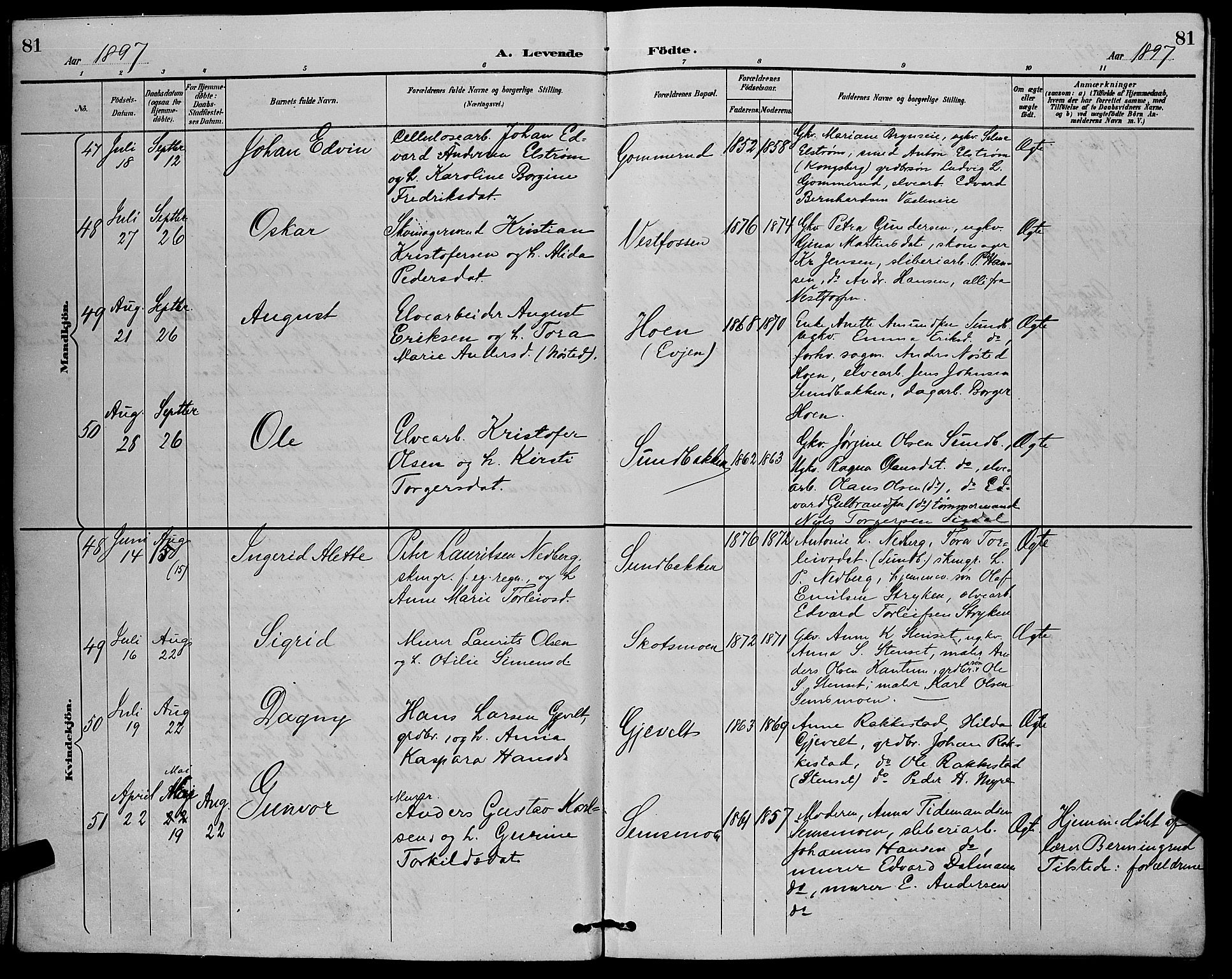 Eiker kirkebøker, AV/SAKO-A-4/G/Ga/L0007: Parish register (copy) no. I 7, 1893-1902, p. 81