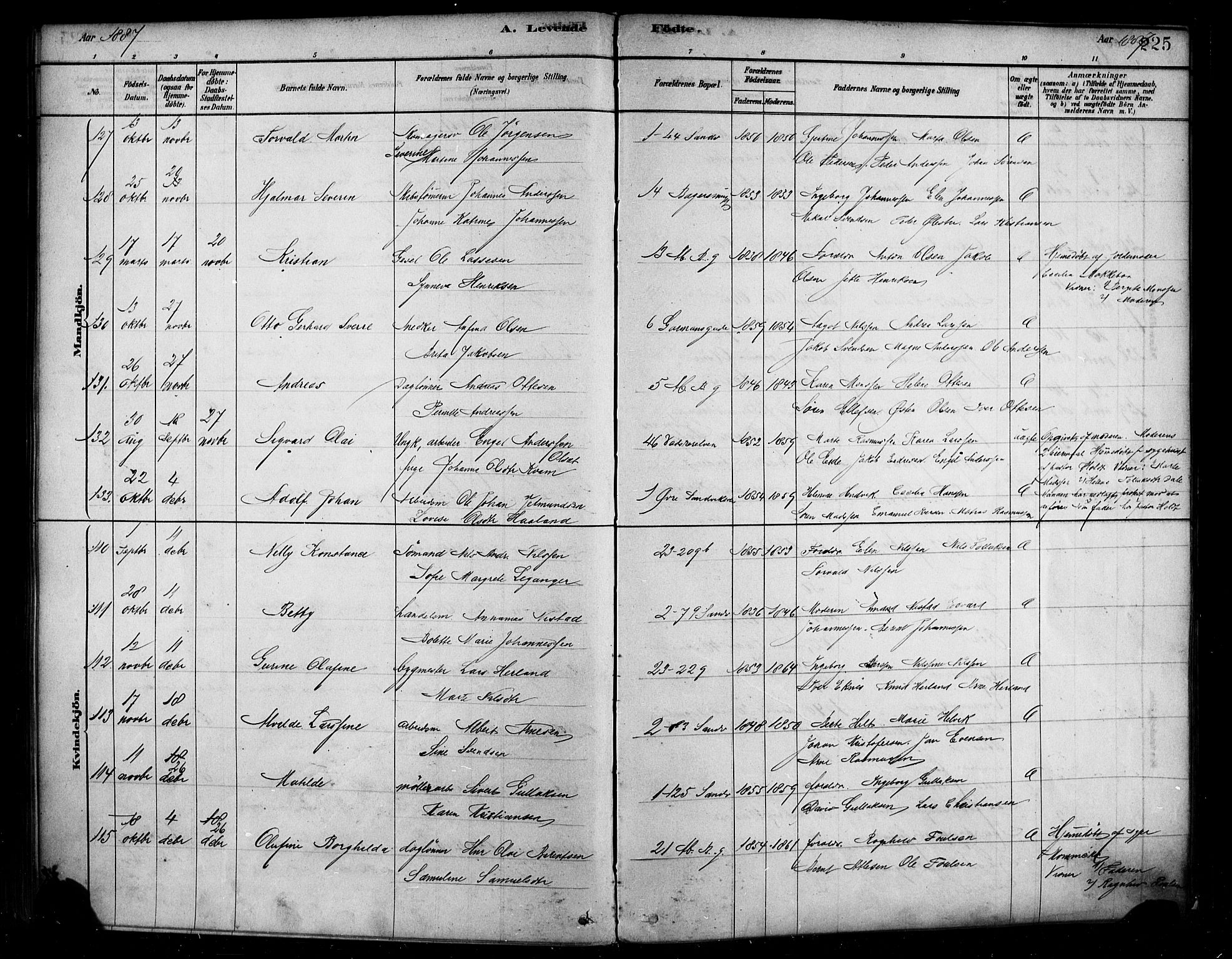 Sandviken Sokneprestembete, SAB/A-77601/H/Ha/L0004: Parish register (official) no. B 1, 1878-1891, p. 225