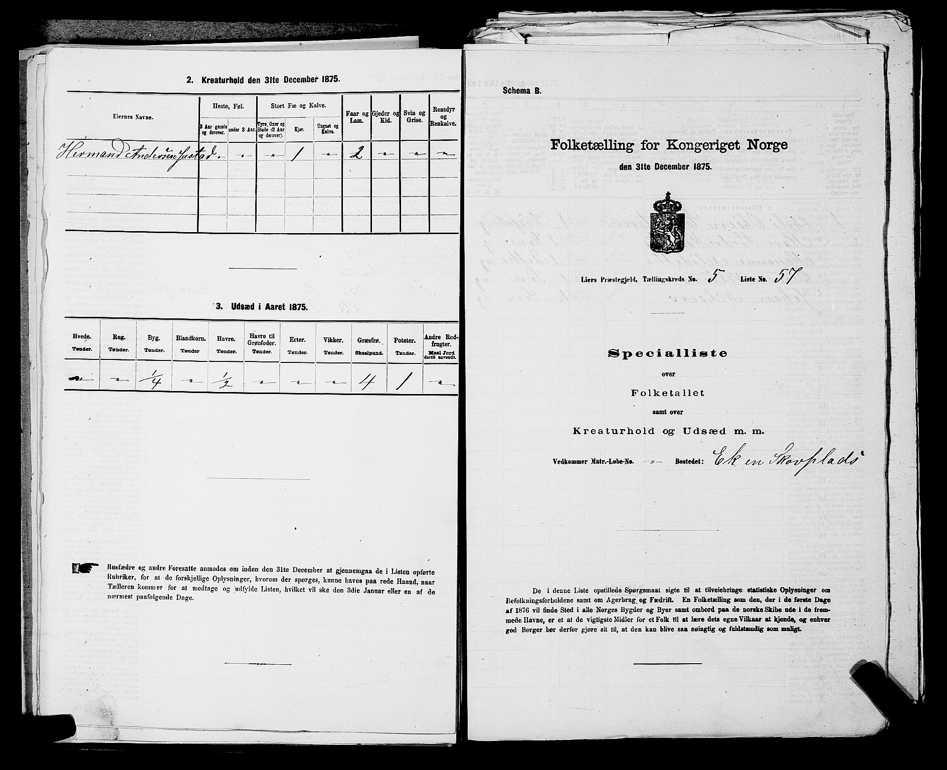 SAKO, 1875 census for 0626P Lier, 1875, p. 933