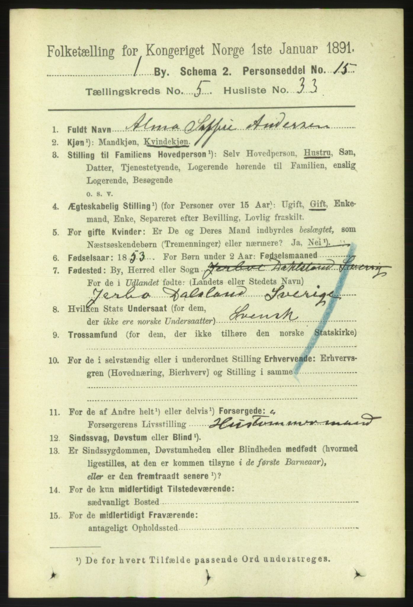 RA, 1891 census for 0101 Fredrikshald, 1891, p. 4390
