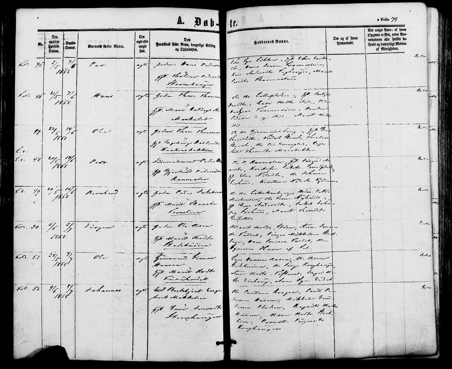 Alvdal prestekontor, AV/SAH-PREST-060/H/Ha/Haa/L0001: Parish register (official) no. 1, 1863-1882, p. 79