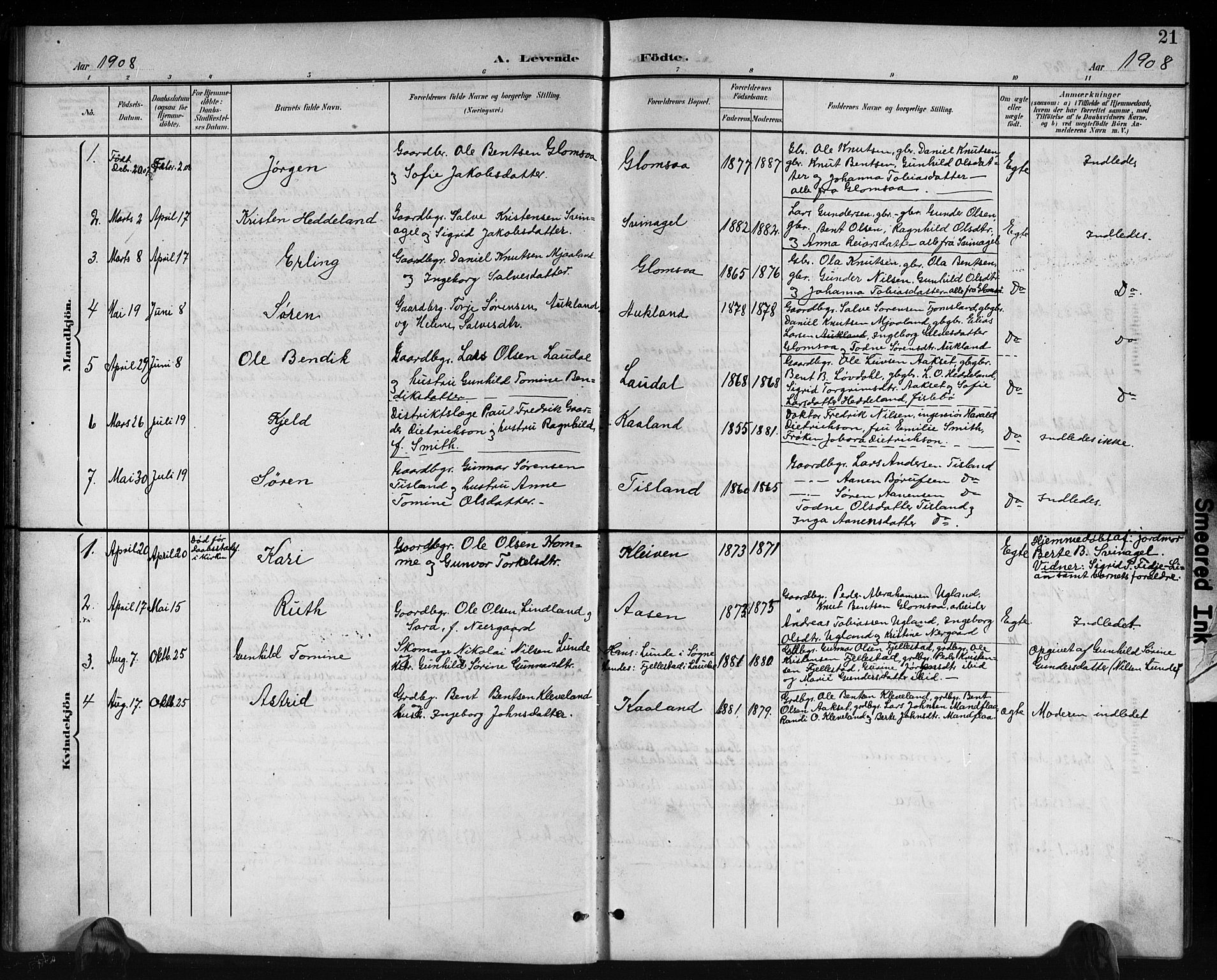 Holum sokneprestkontor, SAK/1111-0022/F/Fb/Fbb/L0004: Parish register (copy) no. B 4, 1899-1920, p. 21