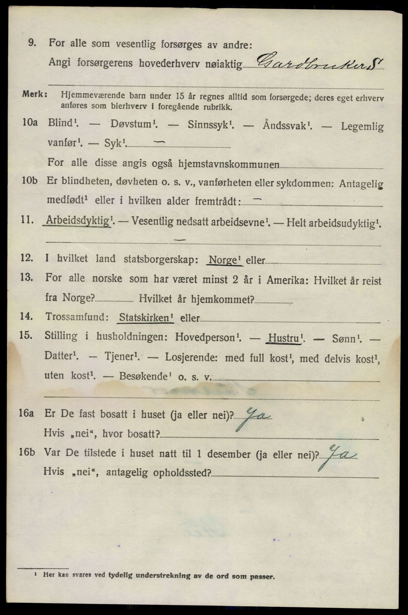 SAKO, 1920 census for Brunlanes, 1920, p. 10802