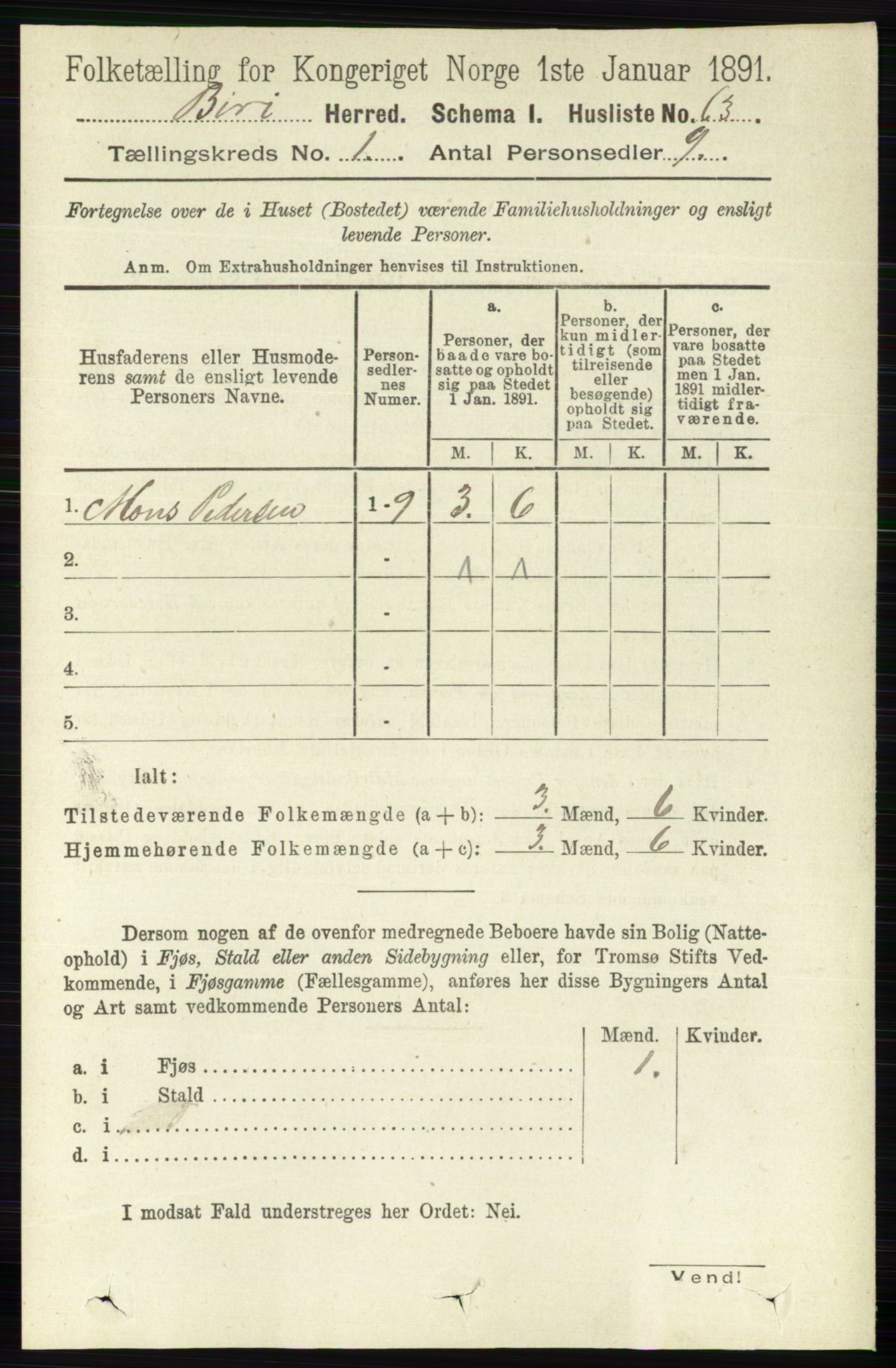 RA, 1891 census for 0525 Biri, 1891, p. 101