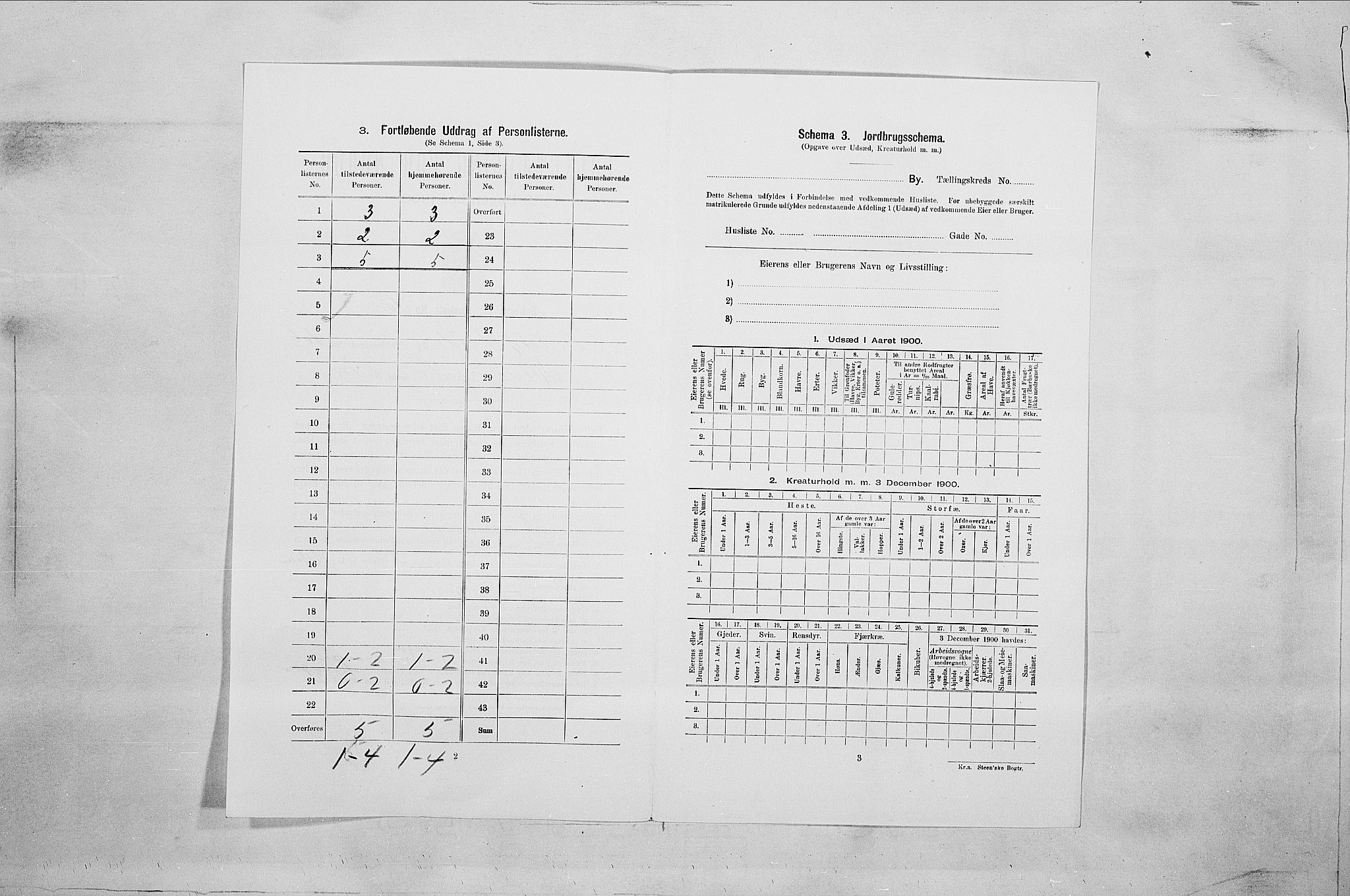 SAO, 1900 census for Fredrikshald, 1900