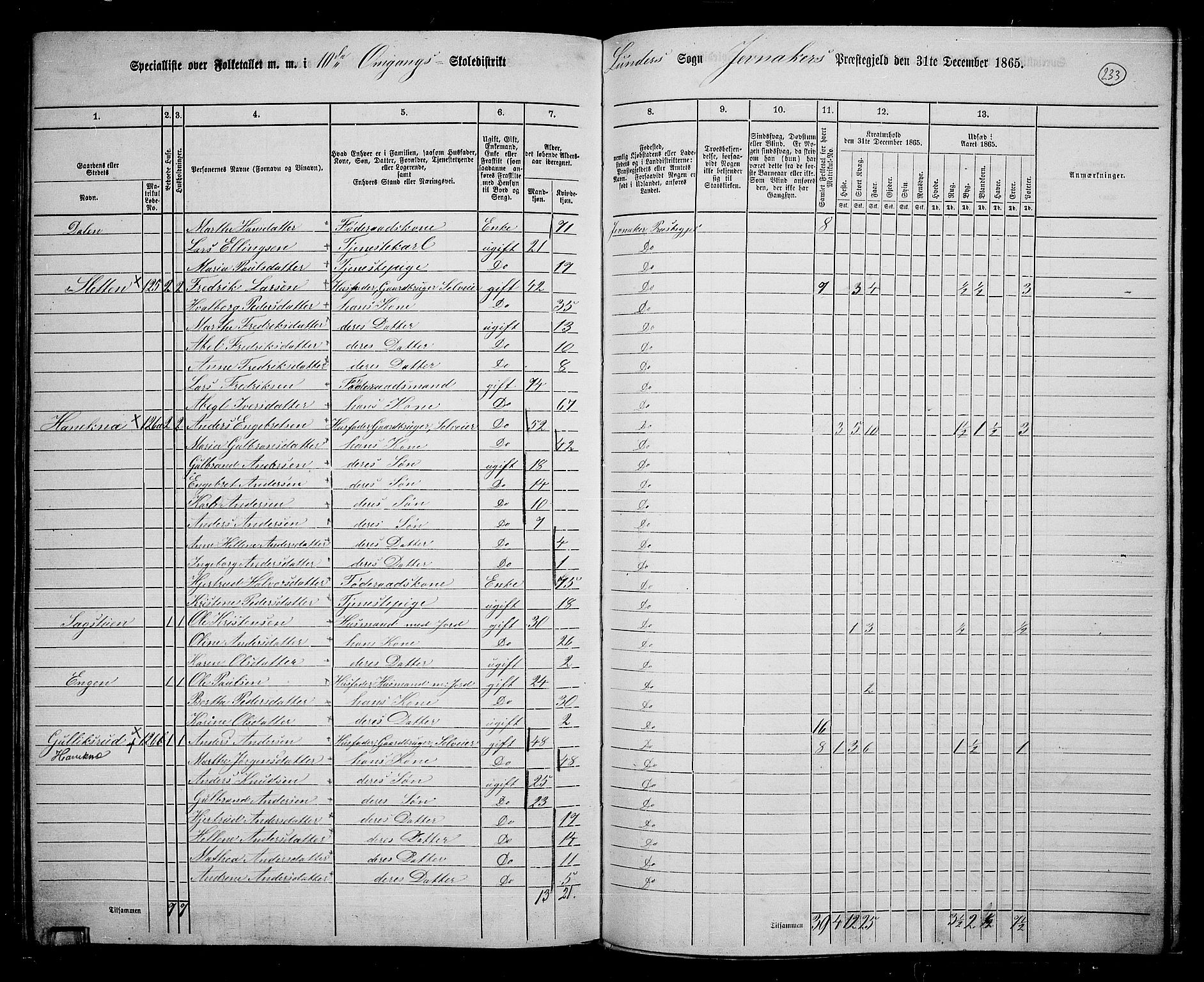 RA, 1865 census for Jevnaker, 1865, p. 217