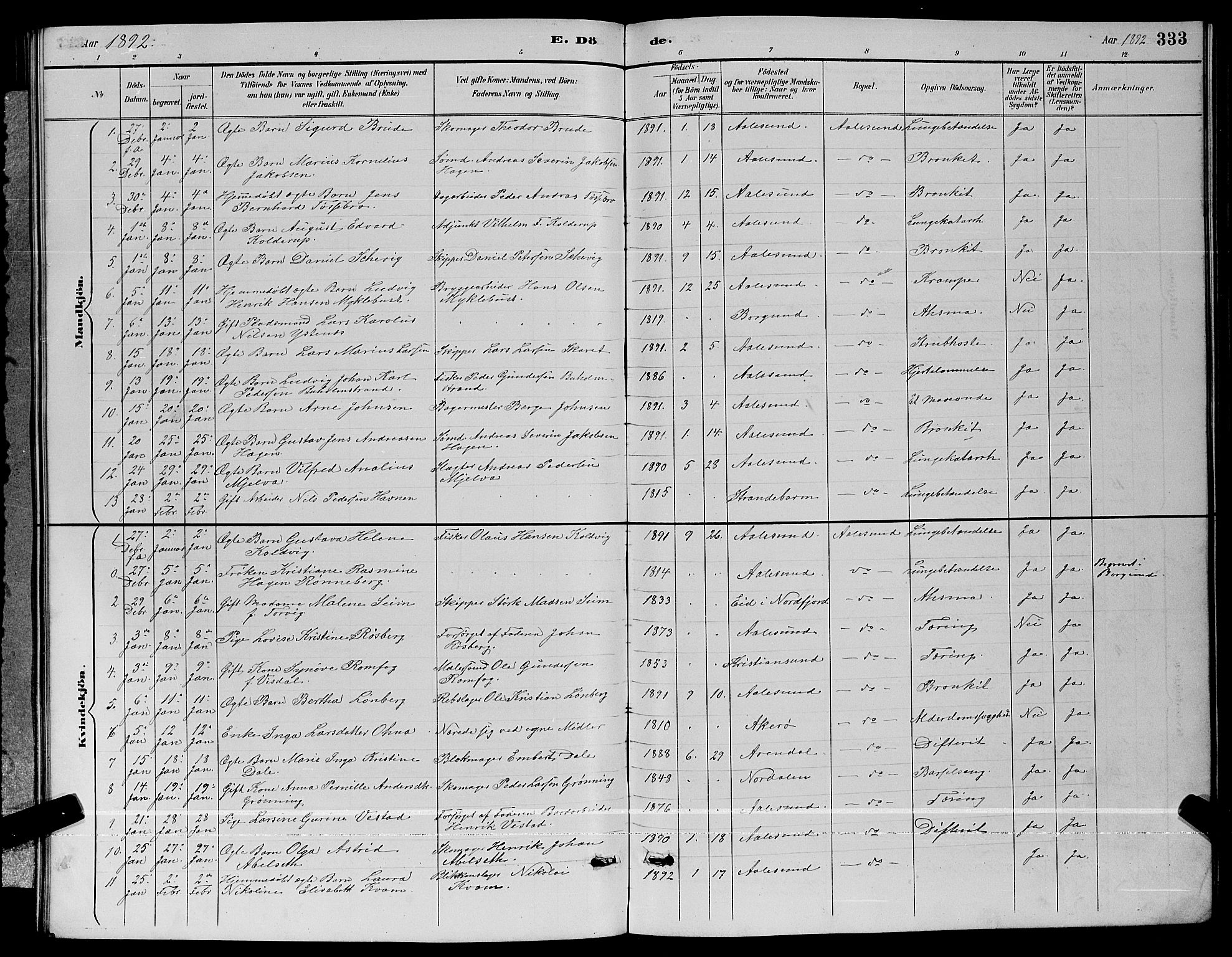 Ministerialprotokoller, klokkerbøker og fødselsregistre - Møre og Romsdal, AV/SAT-A-1454/529/L0467: Parish register (copy) no. 529C04, 1889-1897, p. 333