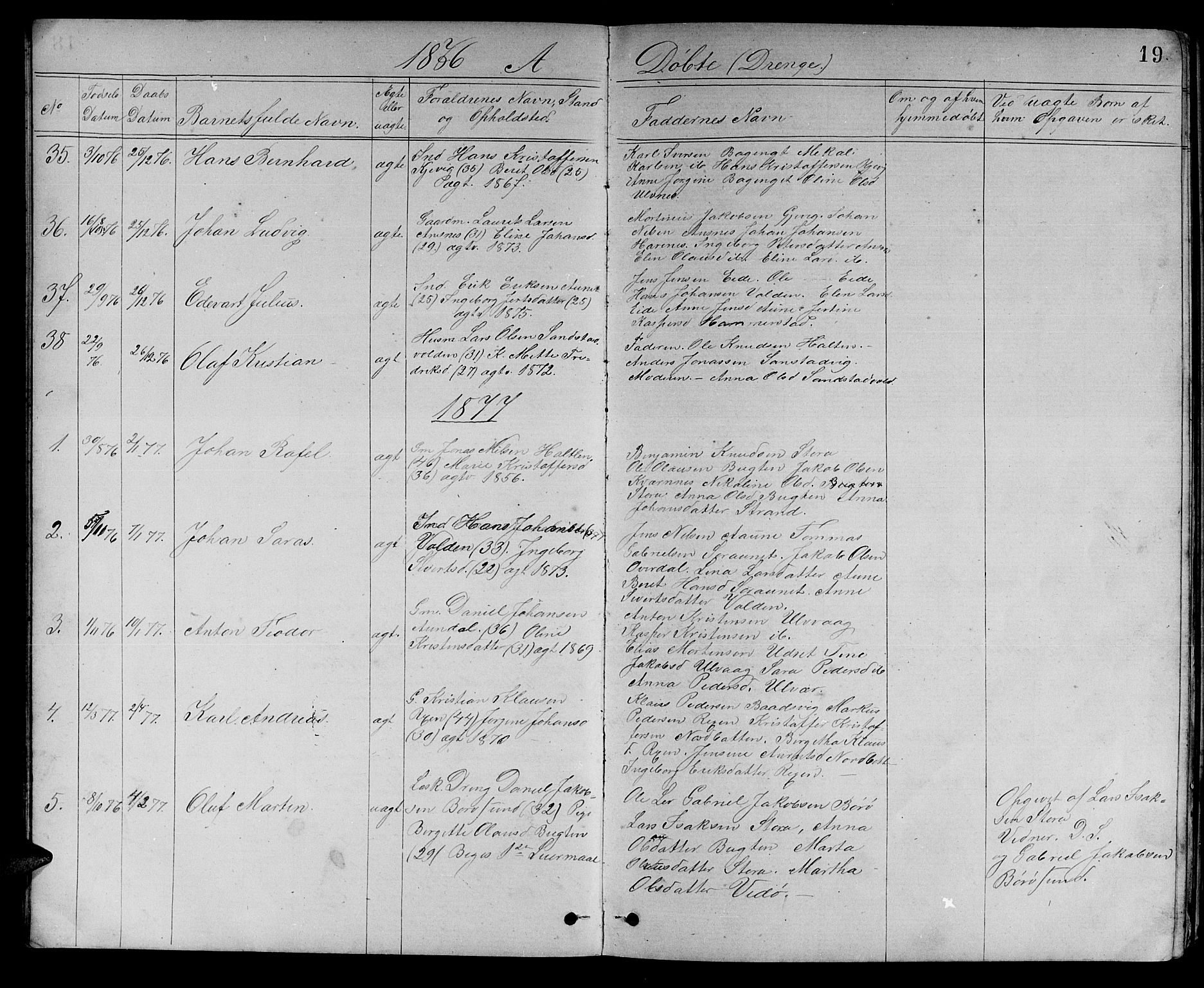 Ministerialprotokoller, klokkerbøker og fødselsregistre - Sør-Trøndelag, SAT/A-1456/637/L0561: Parish register (copy) no. 637C02, 1873-1882, p. 19