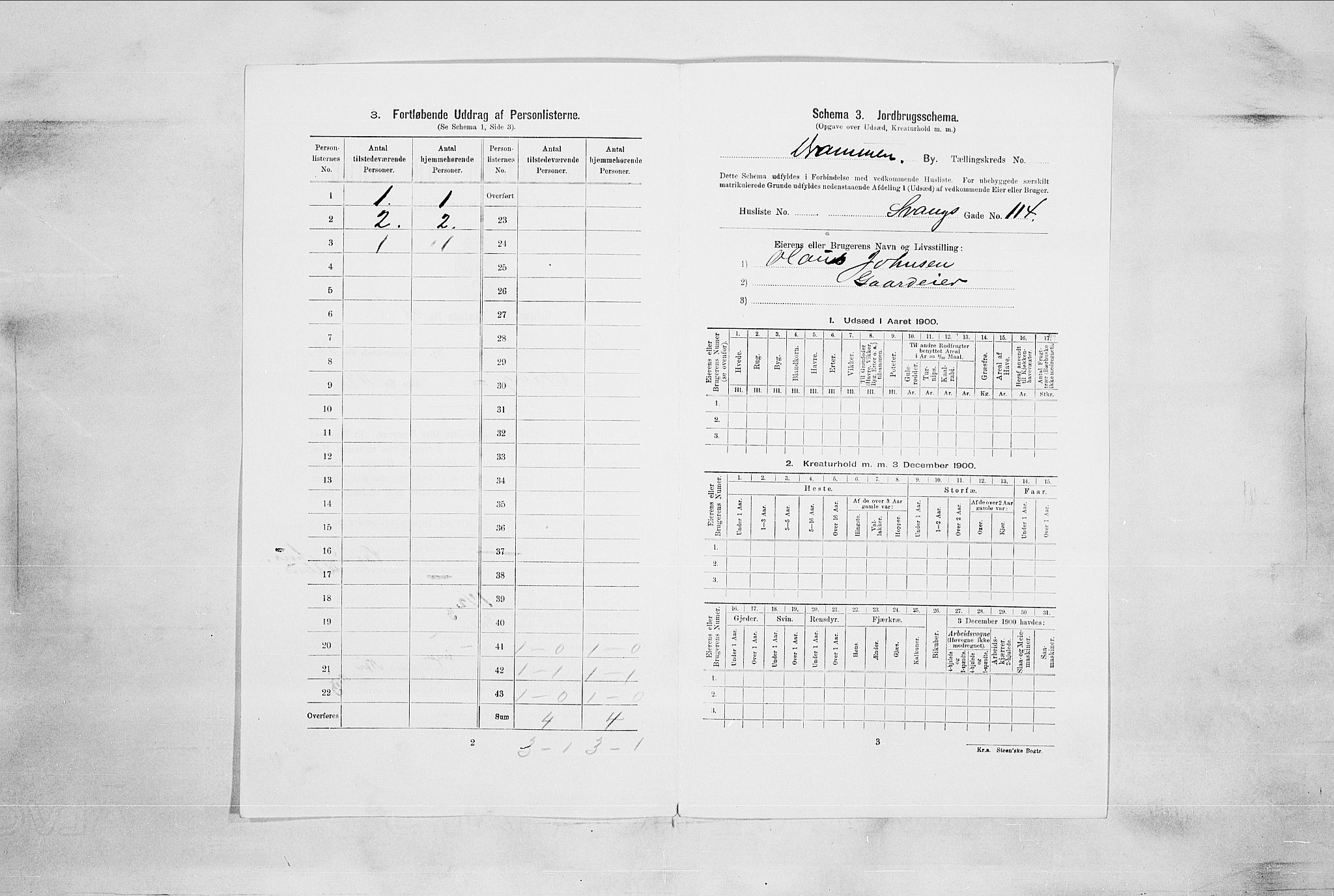RA, 1900 census for Drammen, 1900, p. 9301