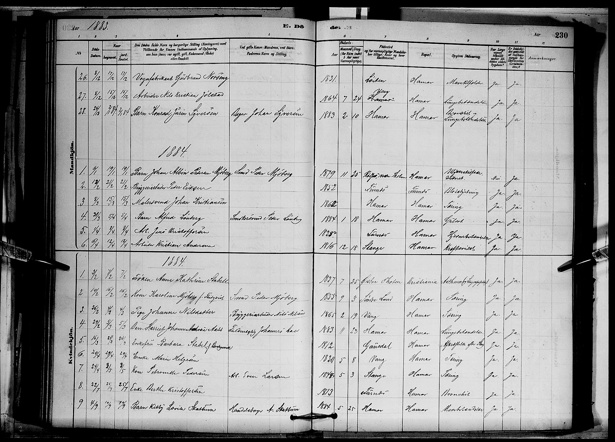 Vang prestekontor, Hedmark, SAH/PREST-008/H/Ha/Hab/L0012: Parish register (copy) no. 12, 1878-1889, p. 230
