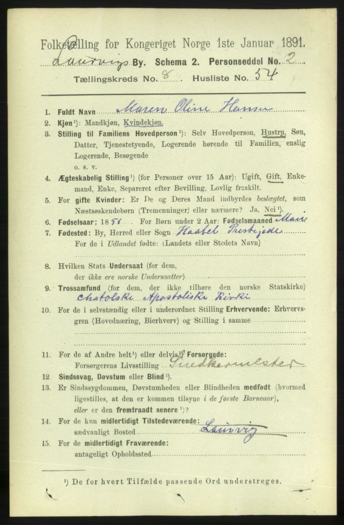 RA, 1891 census for 0707 Larvik, 1891, p. 8470