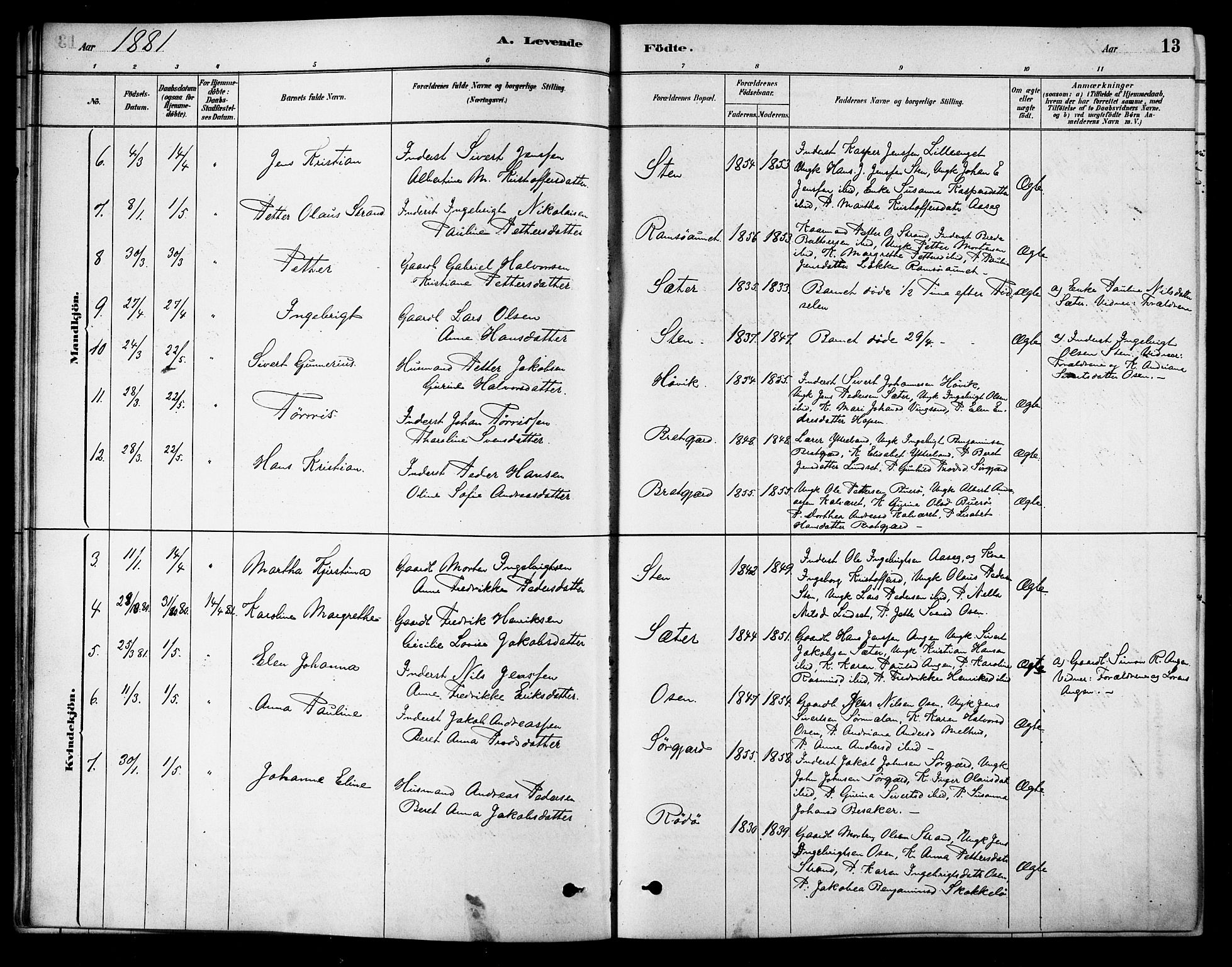 Ministerialprotokoller, klokkerbøker og fødselsregistre - Sør-Trøndelag, SAT/A-1456/658/L0722: Parish register (official) no. 658A01, 1879-1896, p. 13