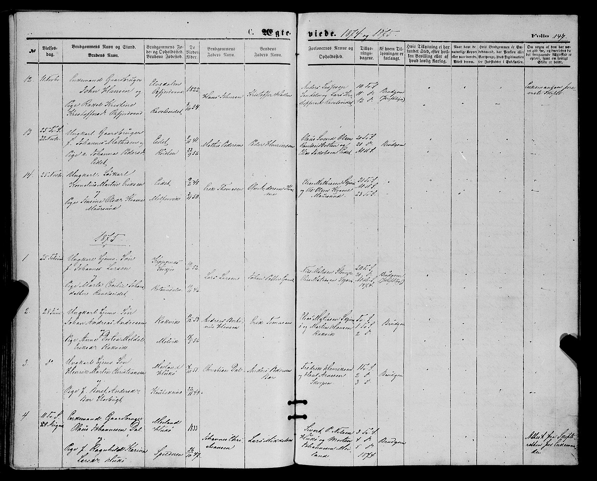Skjervøy sokneprestkontor, SATØ/S-1300/H/Ha/Haa/L0008kirke: Parish register (official) no. 8, 1871-1877, p. 147
