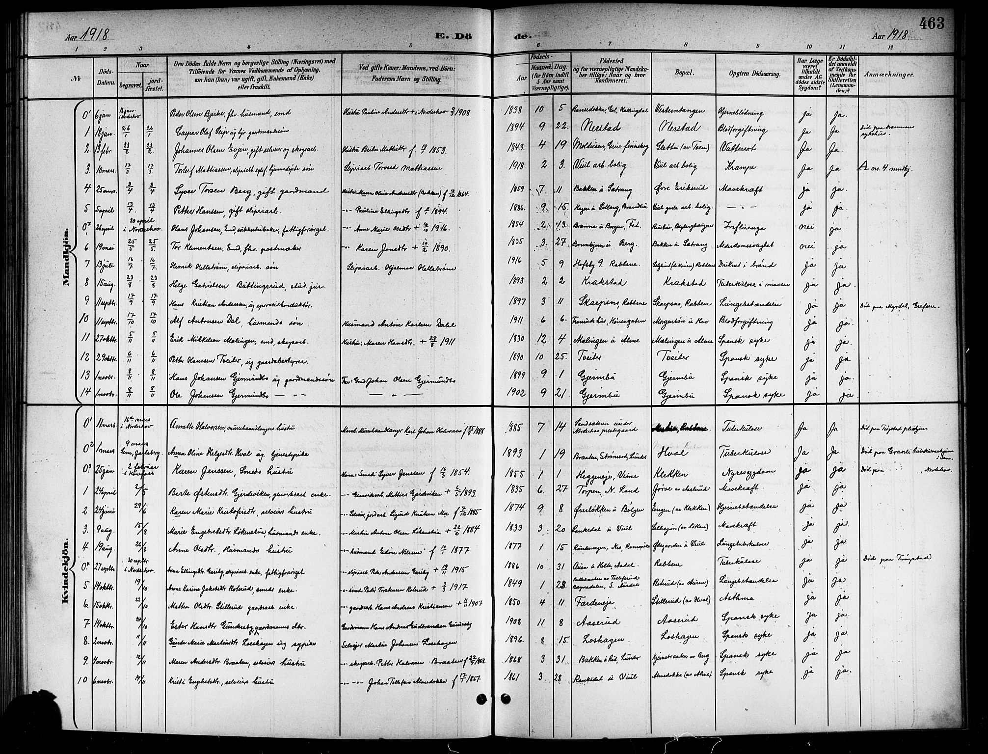 Norderhov kirkebøker, AV/SAKO-A-237/G/Gb/L0002: Parish register (copy) no. II 2, 1891-1921, p. 463