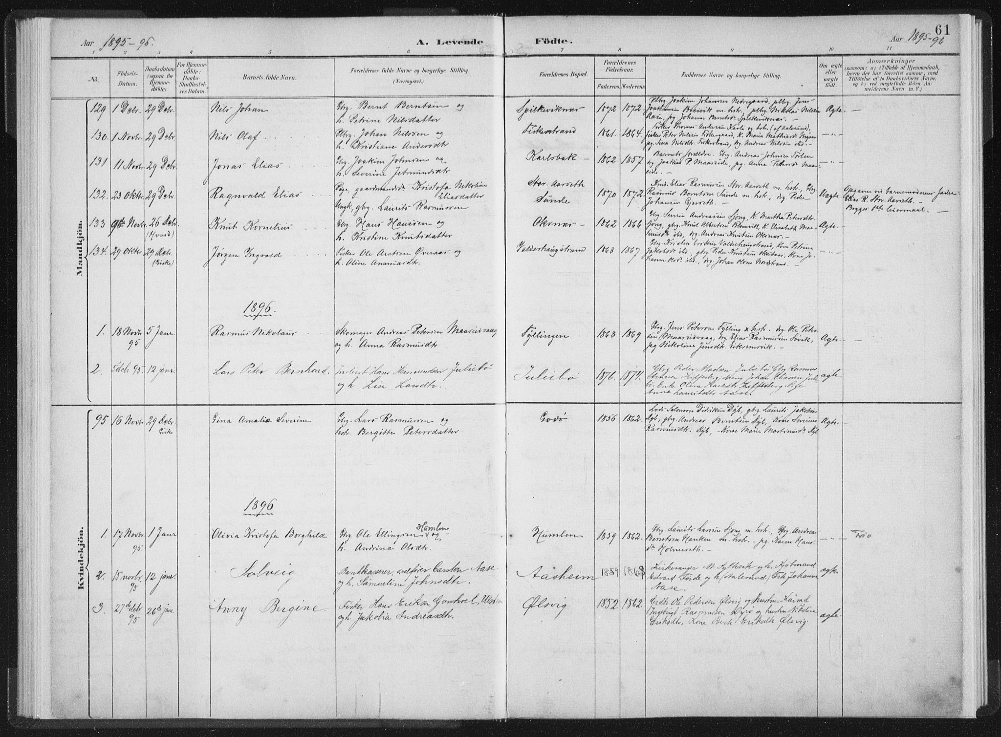 Ministerialprotokoller, klokkerbøker og fødselsregistre - Møre og Romsdal, AV/SAT-A-1454/528/L0405: Parish register (official) no. 528A14, 1891-1906, p. 61