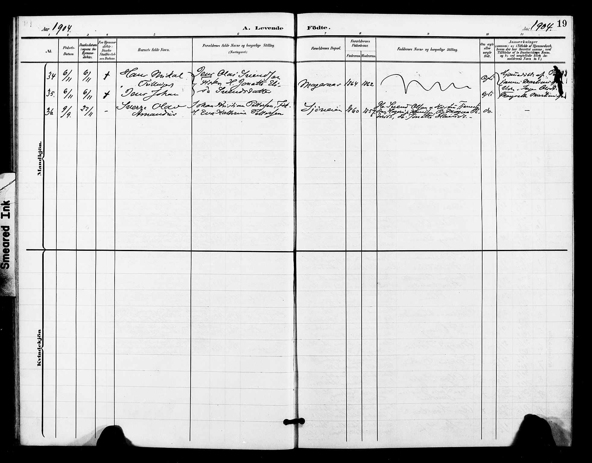 Ibestad sokneprestembete, AV/SATØ-S-0077/H/Ha/Haa/L0016kirke: Parish register (official) no. 16, 1900-1907, p. 19