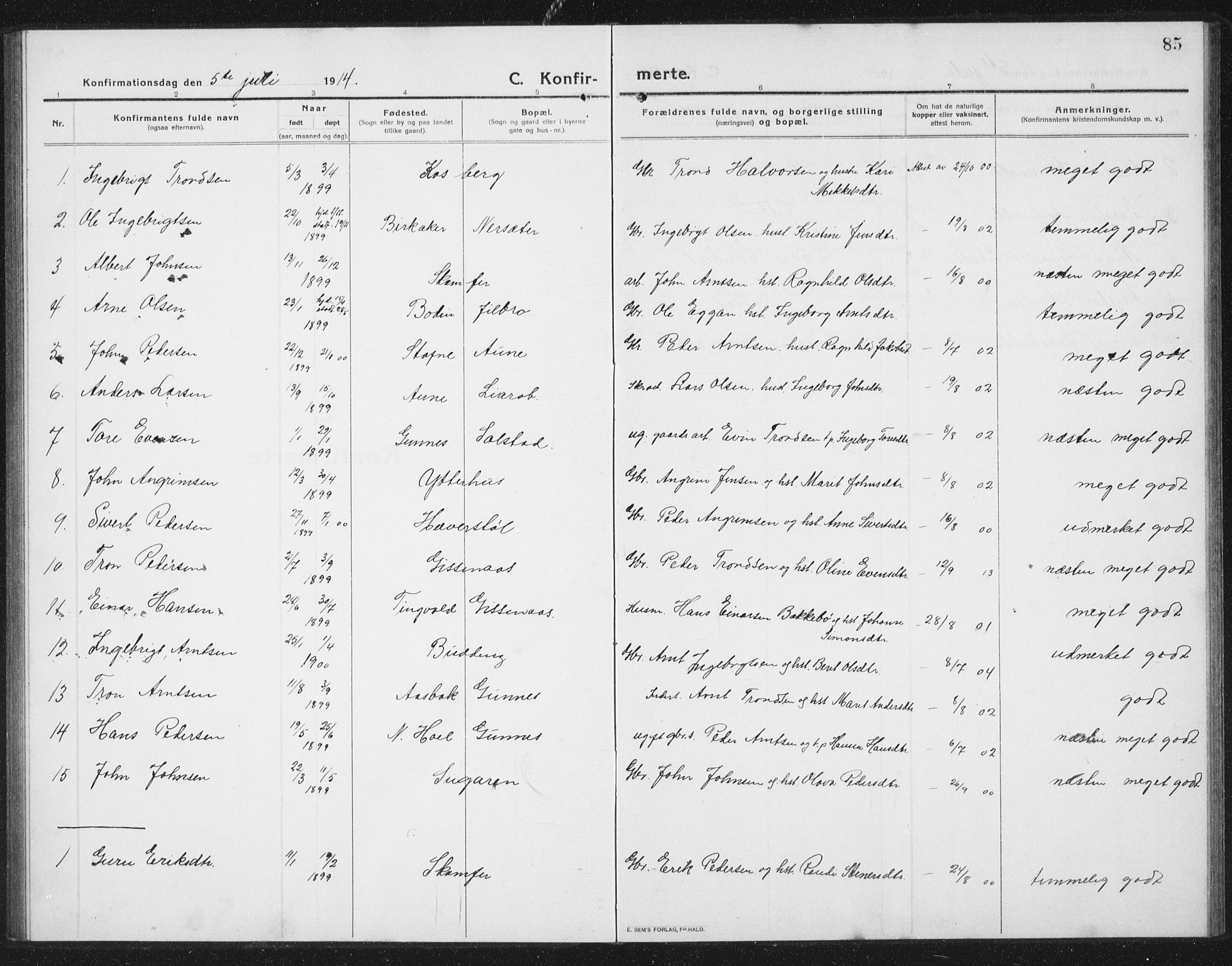 Ministerialprotokoller, klokkerbøker og fødselsregistre - Sør-Trøndelag, SAT/A-1456/675/L0888: Parish register (copy) no. 675C01, 1913-1935, p. 85