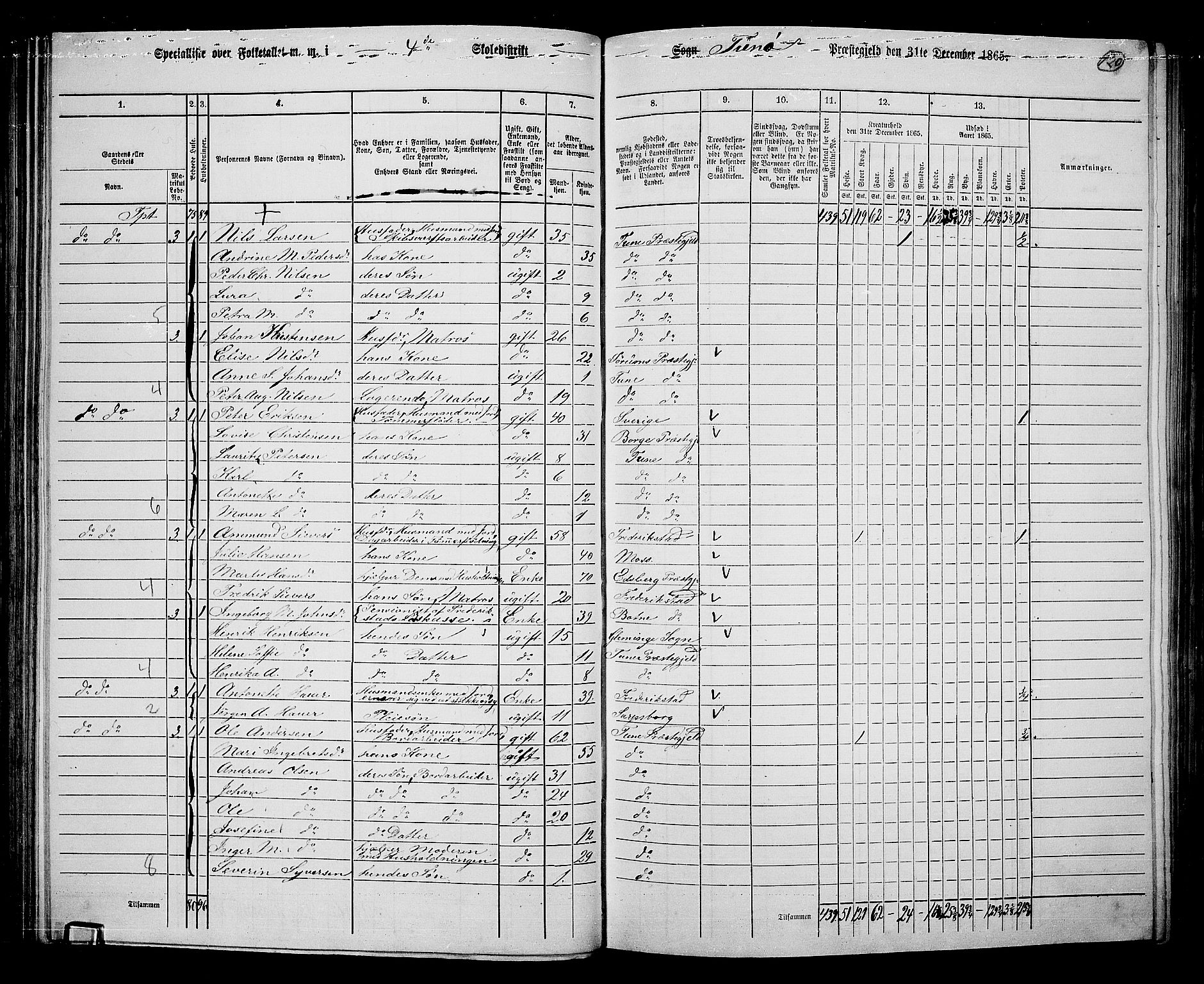 RA, 1865 census for Tune, 1865, p. 113