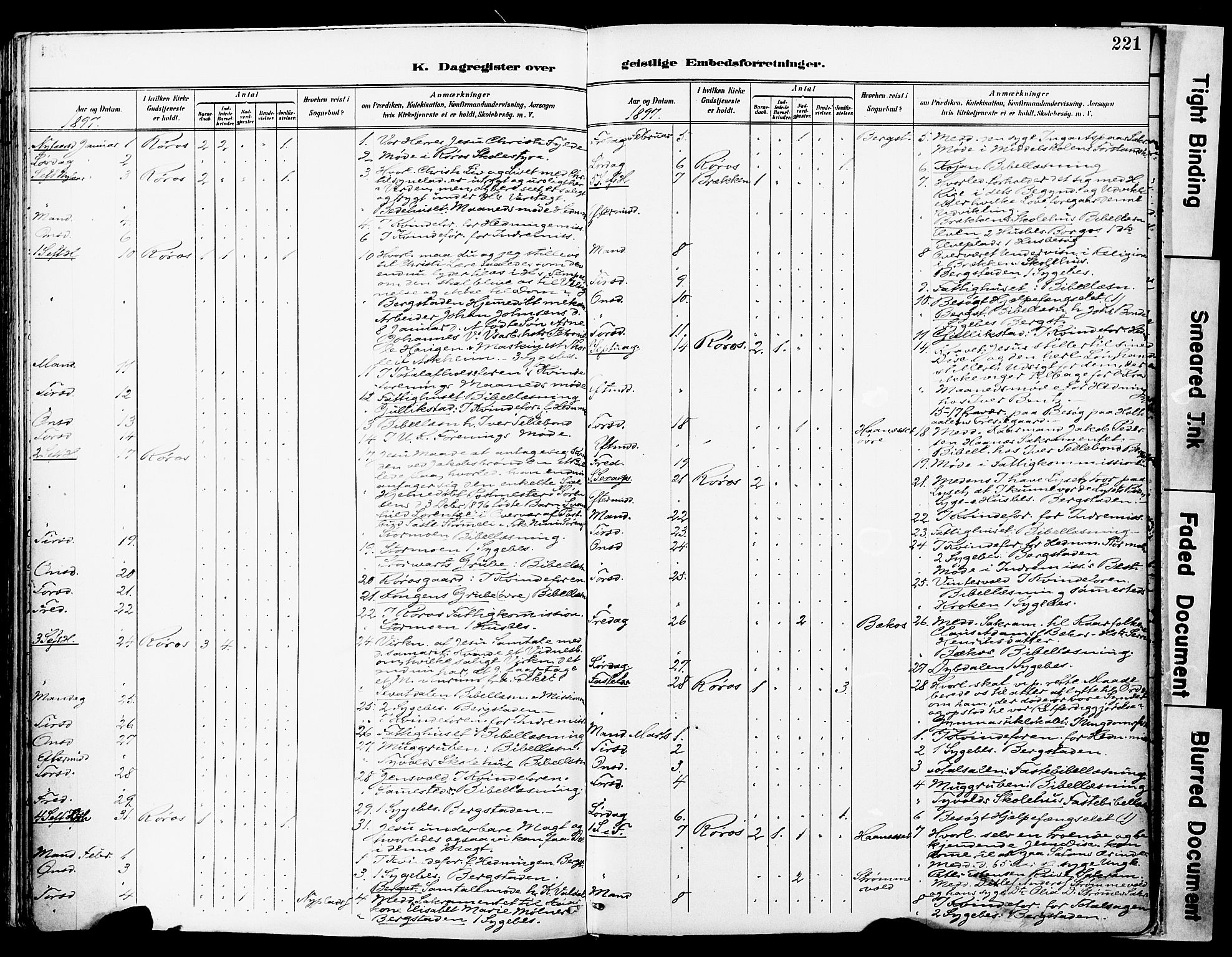 Ministerialprotokoller, klokkerbøker og fødselsregistre - Sør-Trøndelag, SAT/A-1456/681/L0935: Parish register (official) no. 681A13, 1890-1898, p. 221