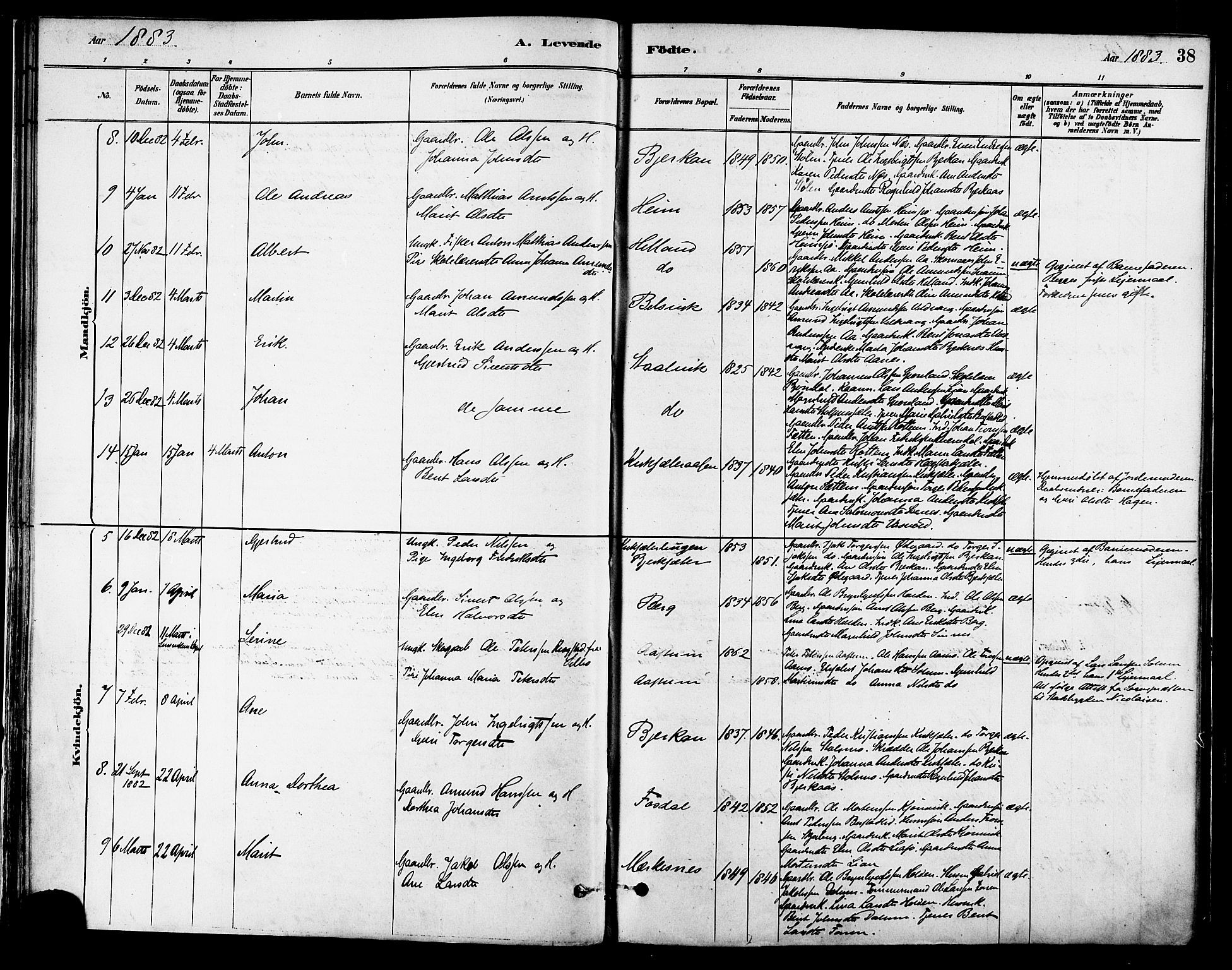 Ministerialprotokoller, klokkerbøker og fødselsregistre - Sør-Trøndelag, SAT/A-1456/630/L0496: Parish register (official) no. 630A09, 1879-1895, p. 38