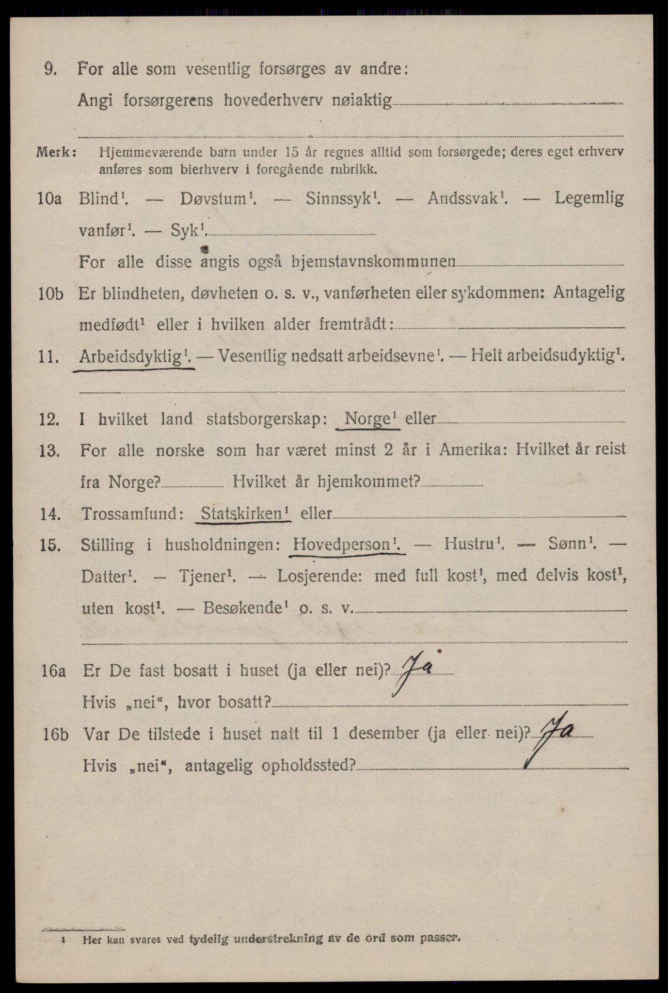 SAKO, 1920 census for Seljord, 1920, p. 4041