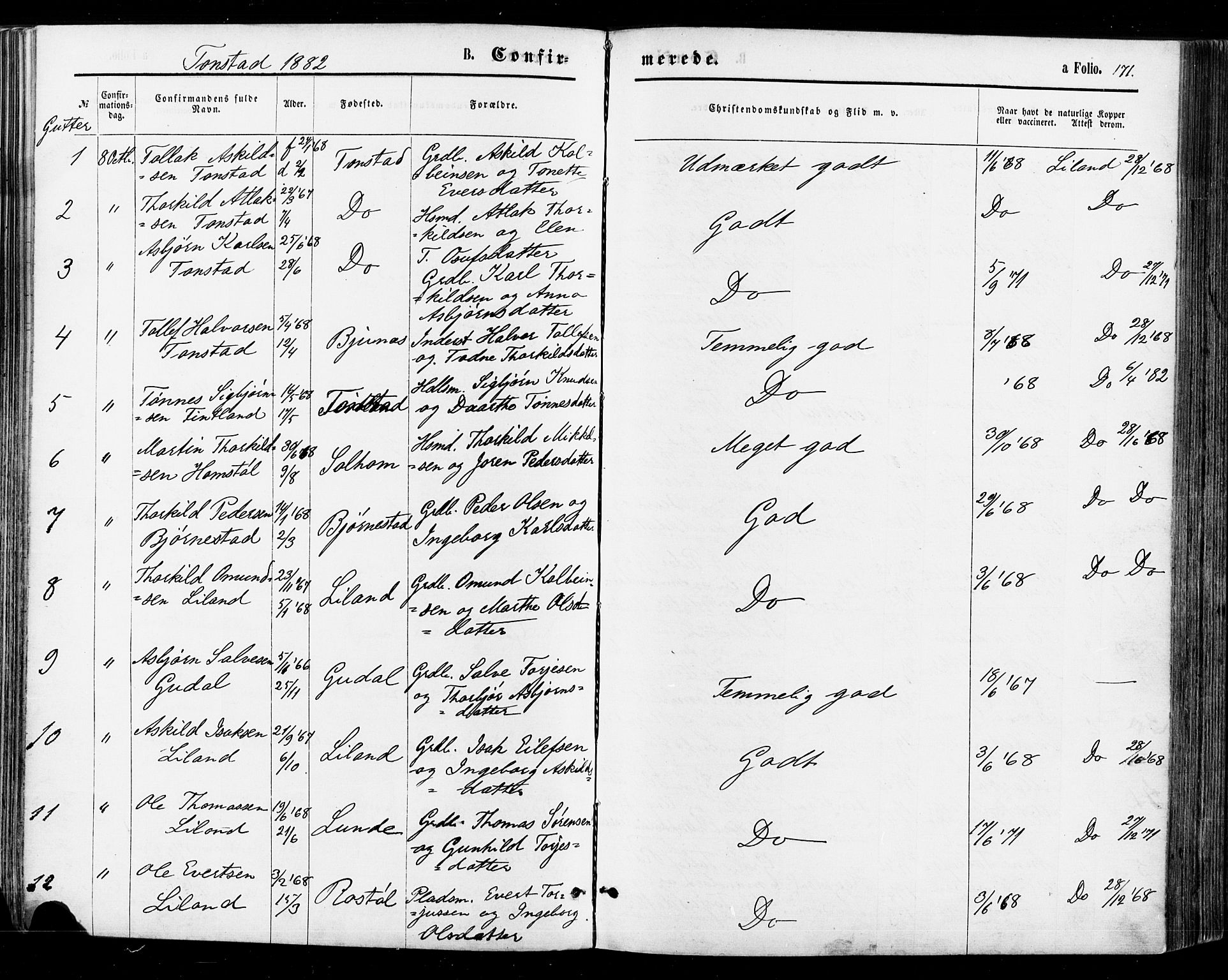 Sirdal sokneprestkontor, SAK/1111-0036/F/Fa/Fab/L0003: Parish register (official) no. A 3, 1874-1886, p. 171