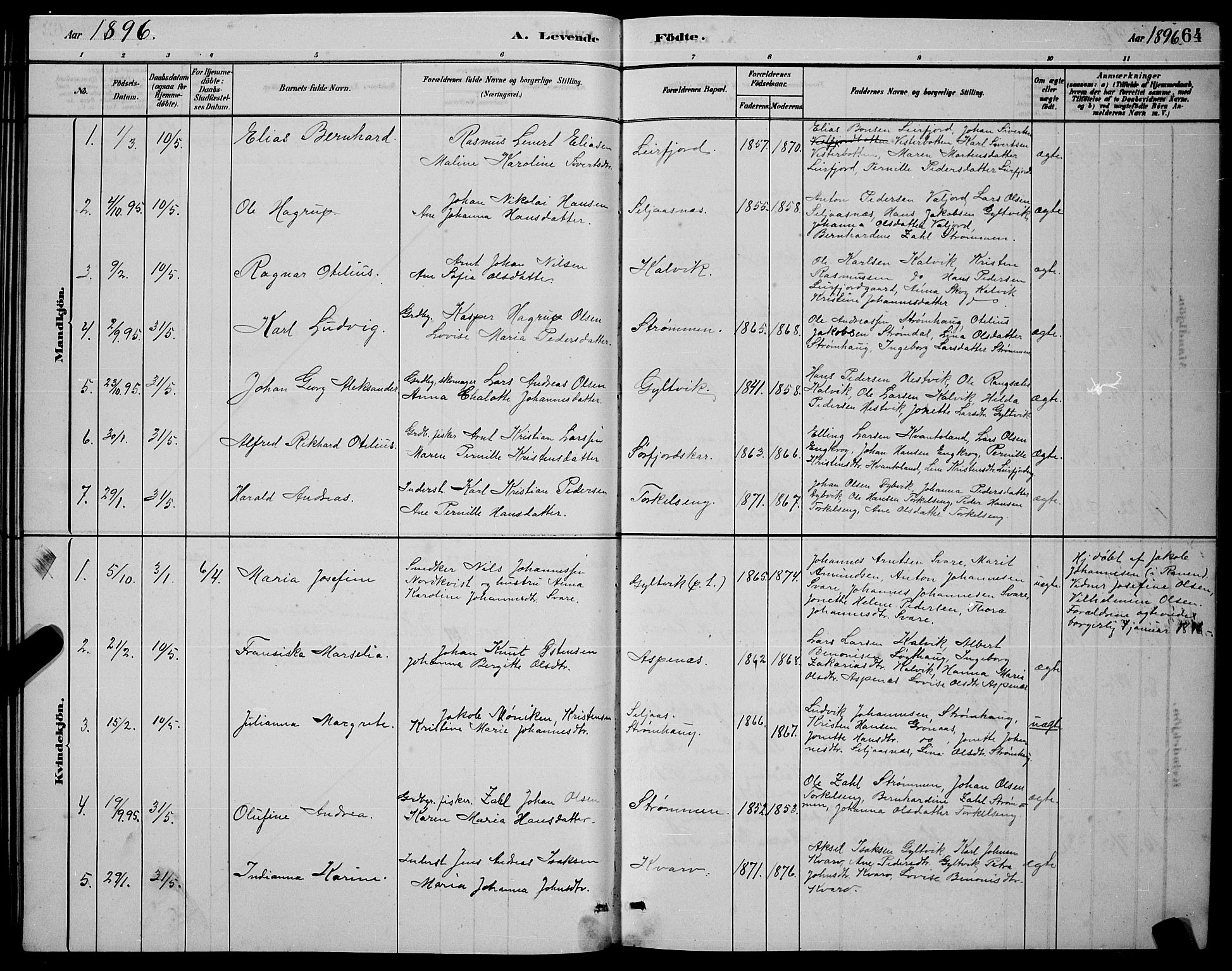 Ministerialprotokoller, klokkerbøker og fødselsregistre - Nordland, AV/SAT-A-1459/853/L0772: Parish register (official) no. 853A11, 1881-1900, p. 64