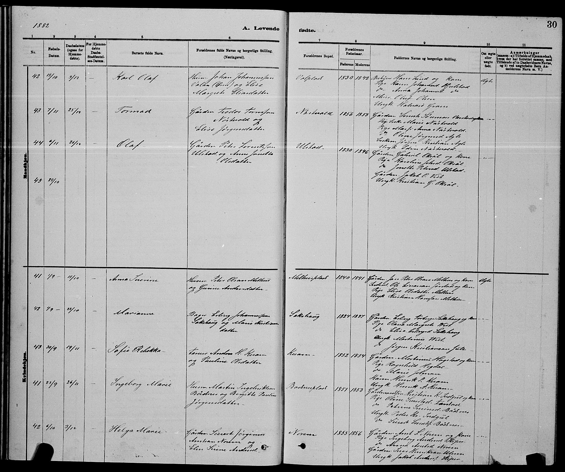 Ministerialprotokoller, klokkerbøker og fødselsregistre - Nord-Trøndelag, AV/SAT-A-1458/730/L0301: Parish register (copy) no. 730C04, 1880-1897, p. 30