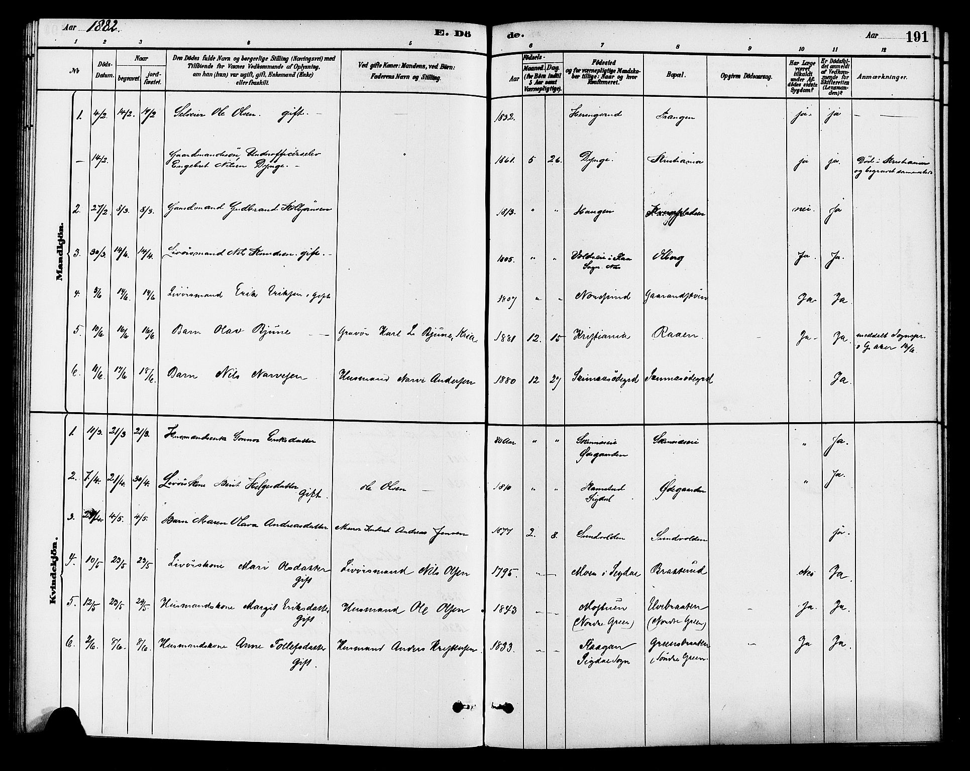 Krødsherad kirkebøker, SAKO/A-19/G/Ga/L0001: Parish register (copy) no. 1, 1879-1893, p. 191